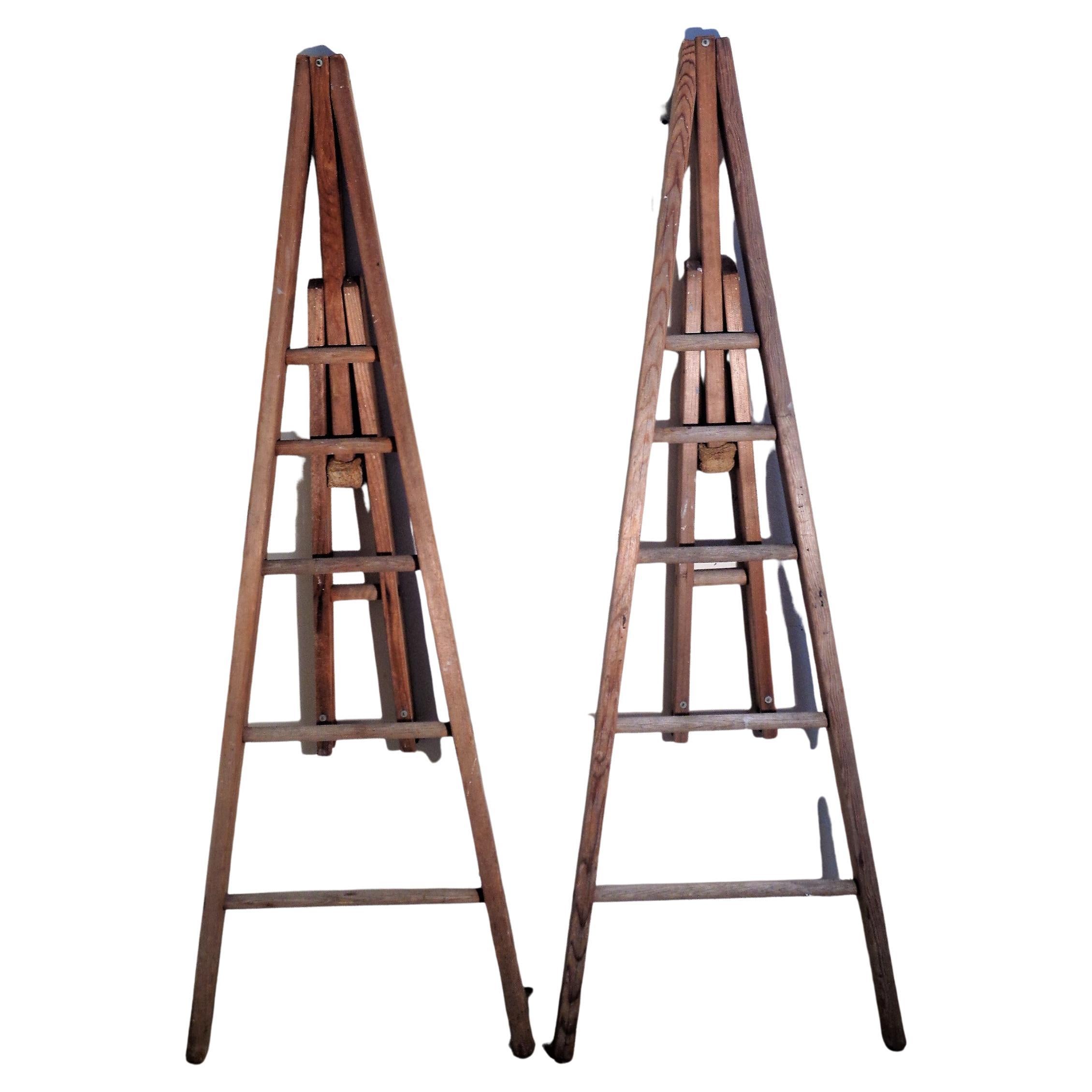 American Unusual Old Peak Top Adjustable Arm Orchard Ladders For Sale