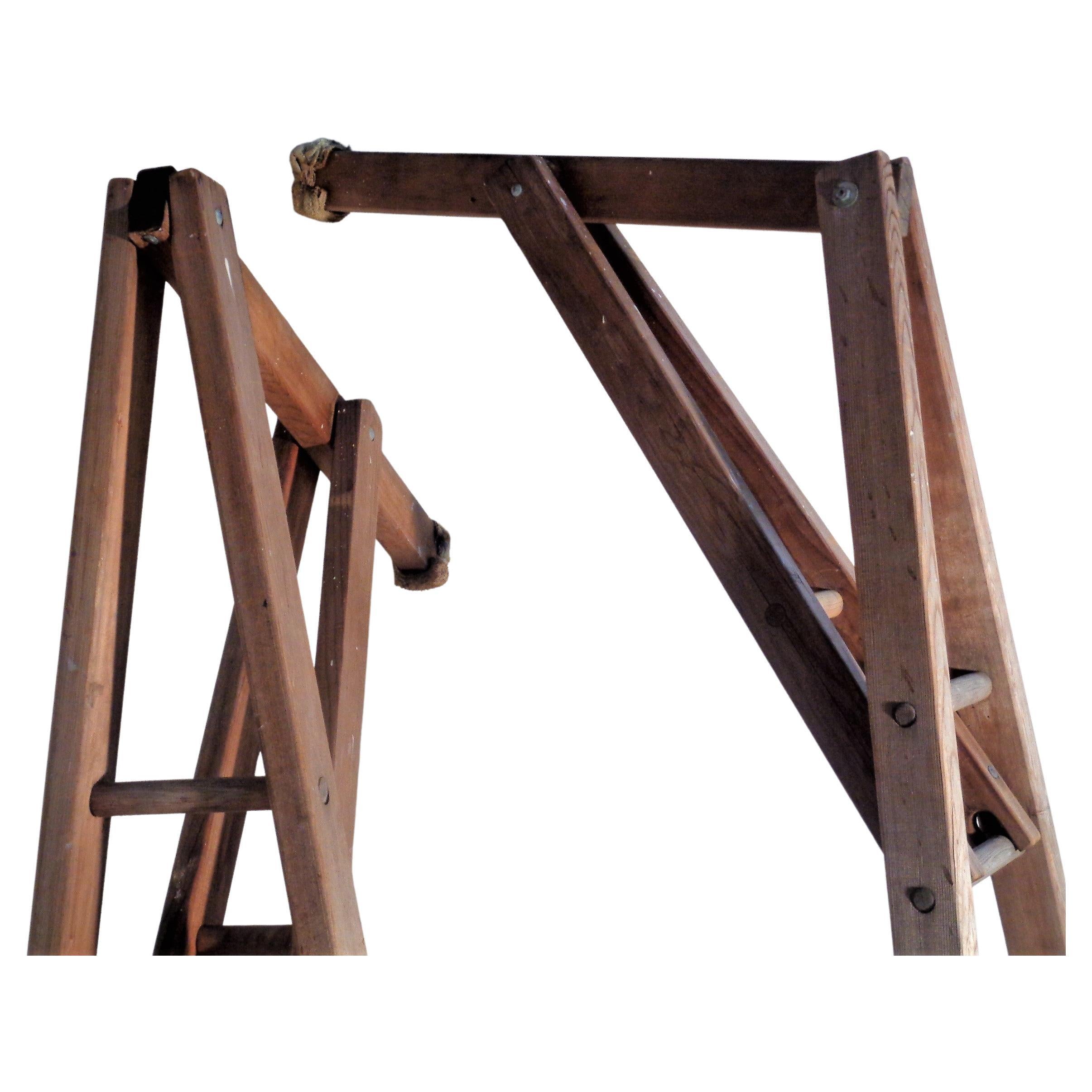 Metal Unusual Old Peak Top Adjustable Arm Orchard Ladders For Sale