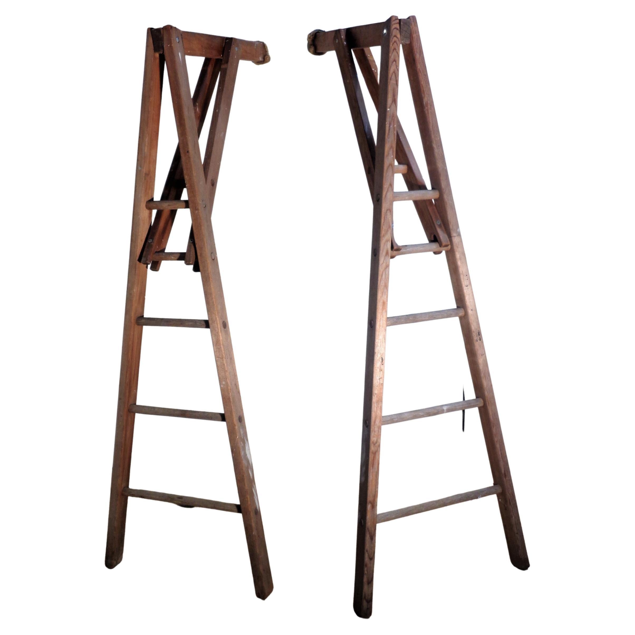 Unusual Old Peak Top Adjustable Arm Orchard Ladders For Sale