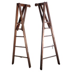 Unusual Old Peak Top Adjustable Arm Orchard Ladders