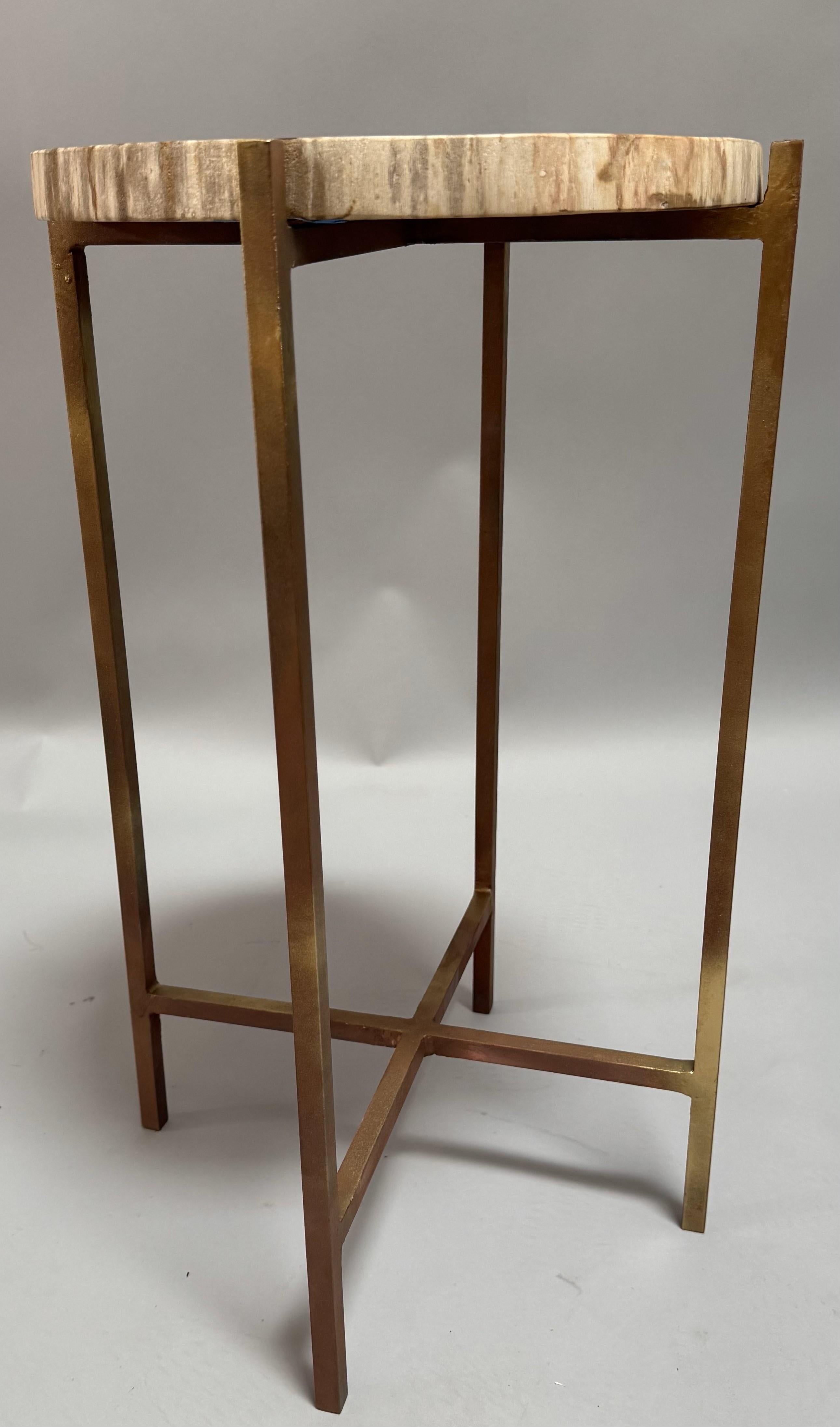 Insolito tavolino da bere moderno in Wood Wood pietrificato. Con il piano in legno pietrificato risalente a 400 milioni di anni fa. Base in acciaio dorato progettata su misura.
13,75