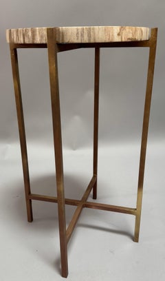 Unusual Petrified Wood Modern Drinks Table