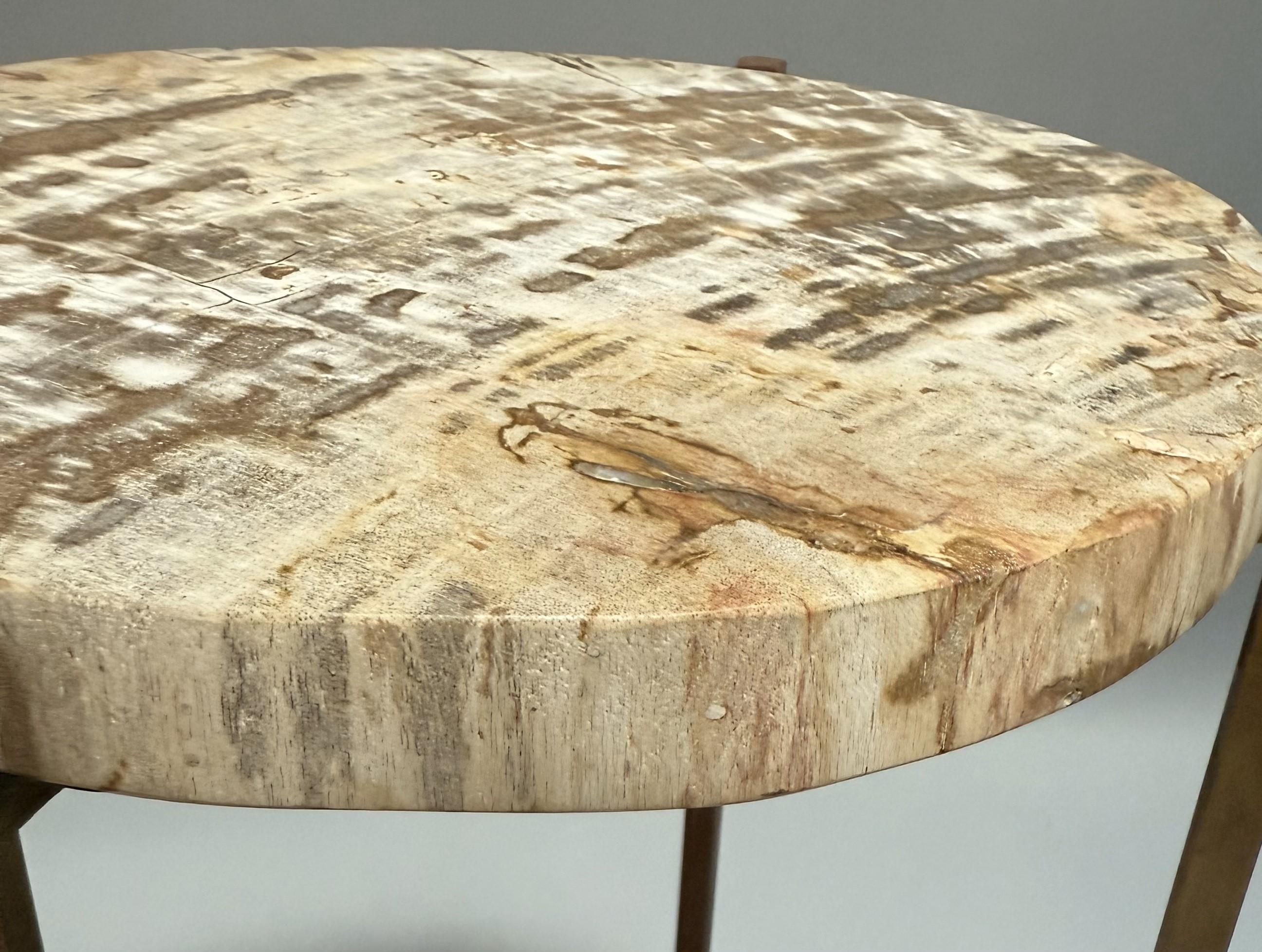 Americano Insolito tavolino da bere moderno in legno pietrificato in vendita