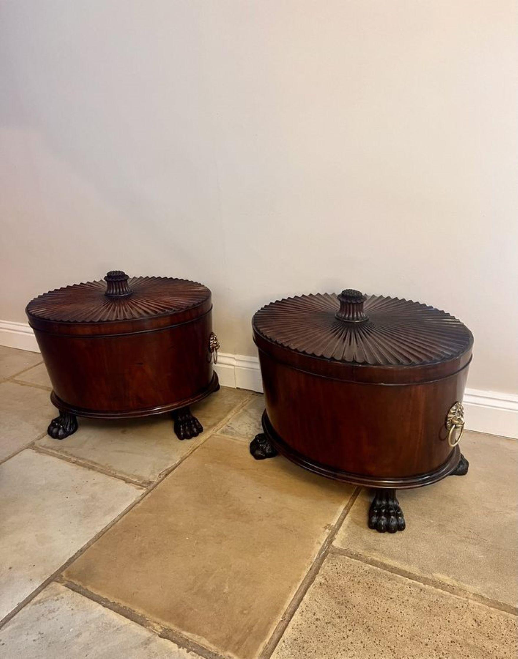 Unusual rare pair of antique George III quality mahogany wine coolers  For Sale 6