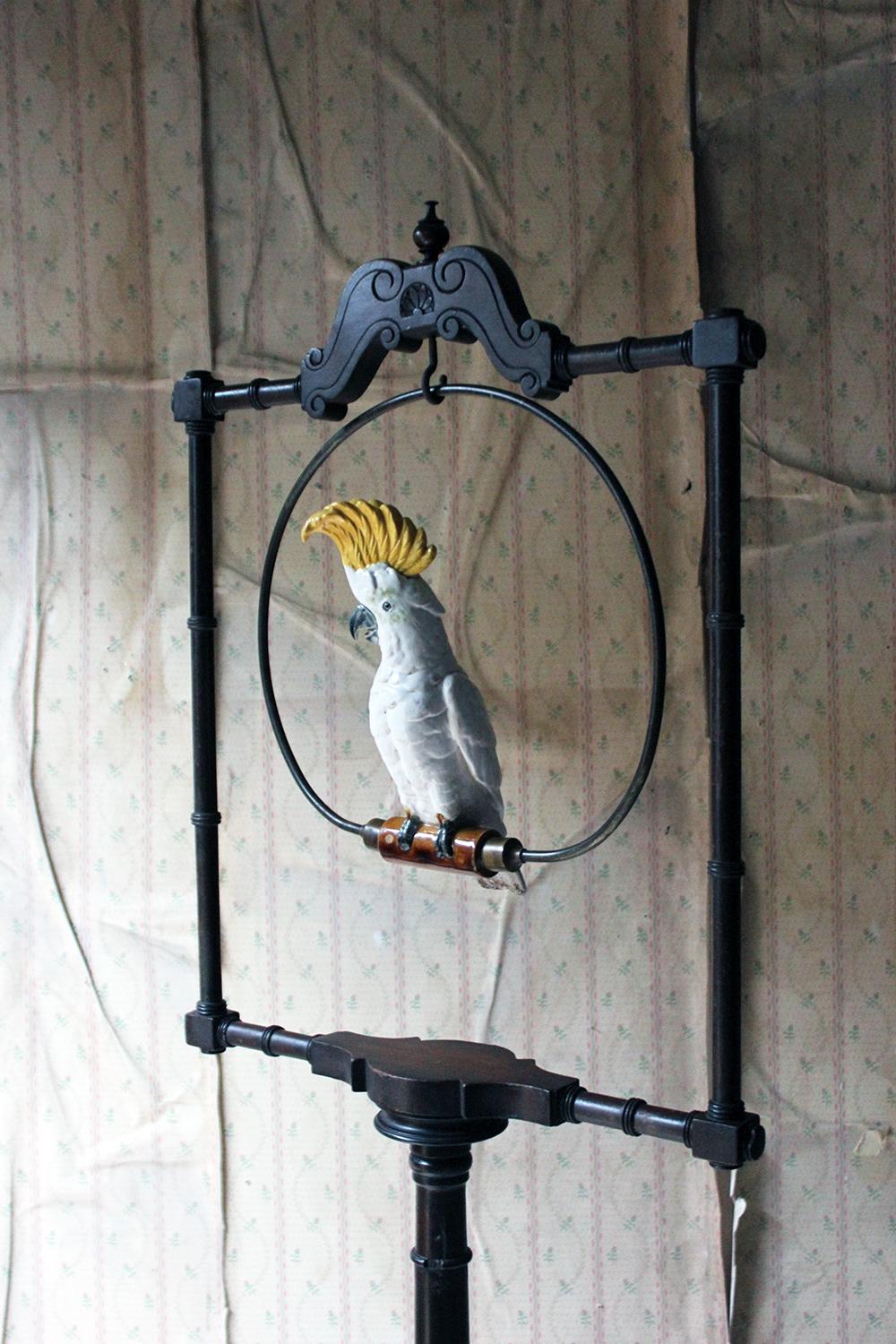 Early 19th Century Unusual Regency & Later Mahogany Bird Perch Stand with Porcelain Cockatoo