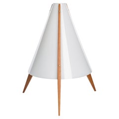 Unusual table lamp by Hans Agne Jakobsson made of acrylic and teak, 1950s