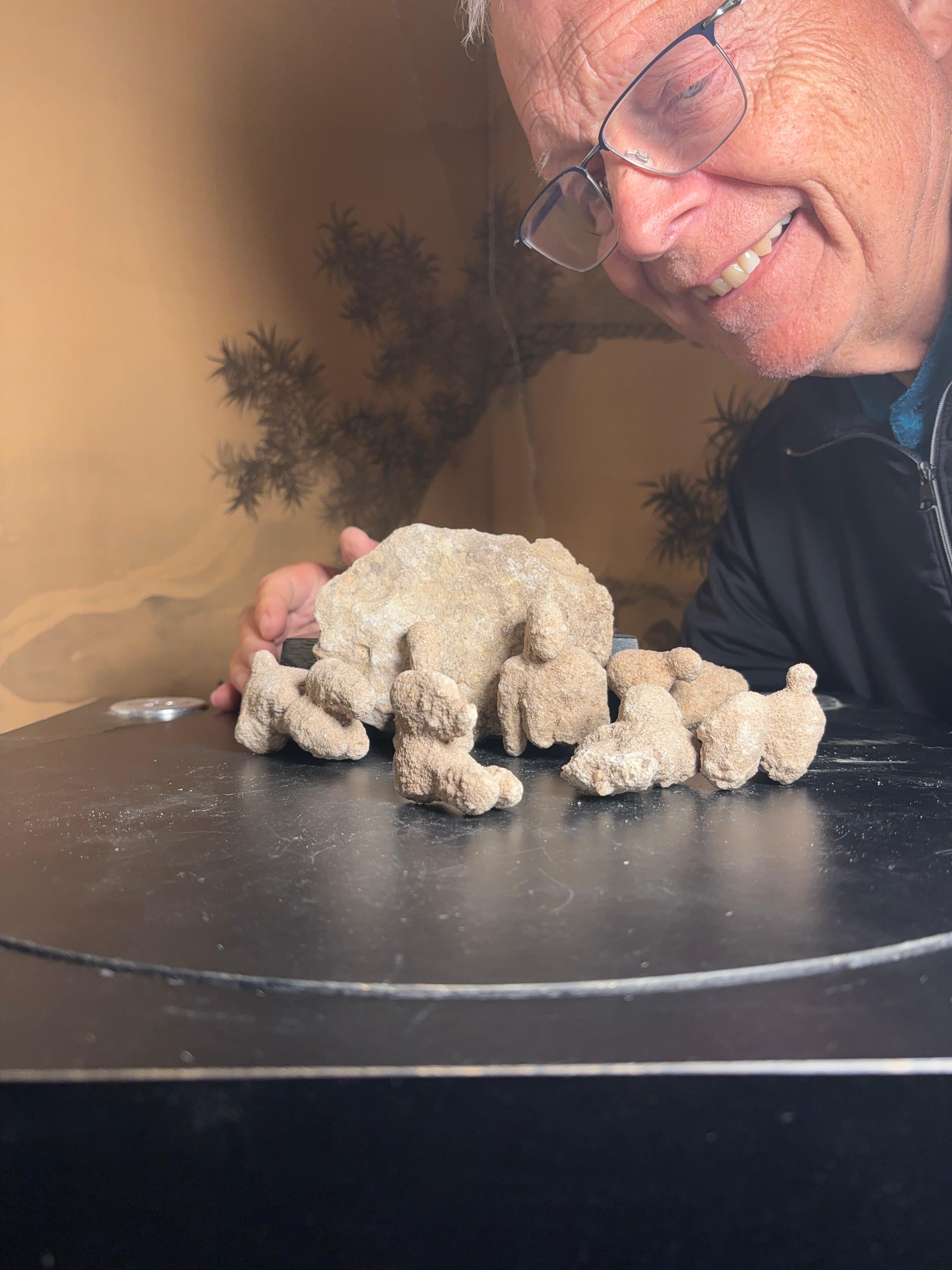 Discovered and collected in America's southwest comes this fascinating collection of seven (7) naturally formed sandstone concretions in the likenesses  of animals. 

Natural earth concretions are sandstone concretions, which are hard,