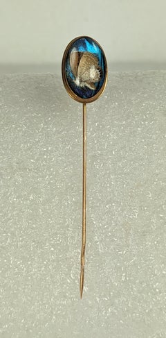Unusual Victorian Butterfly Wing Stickpin