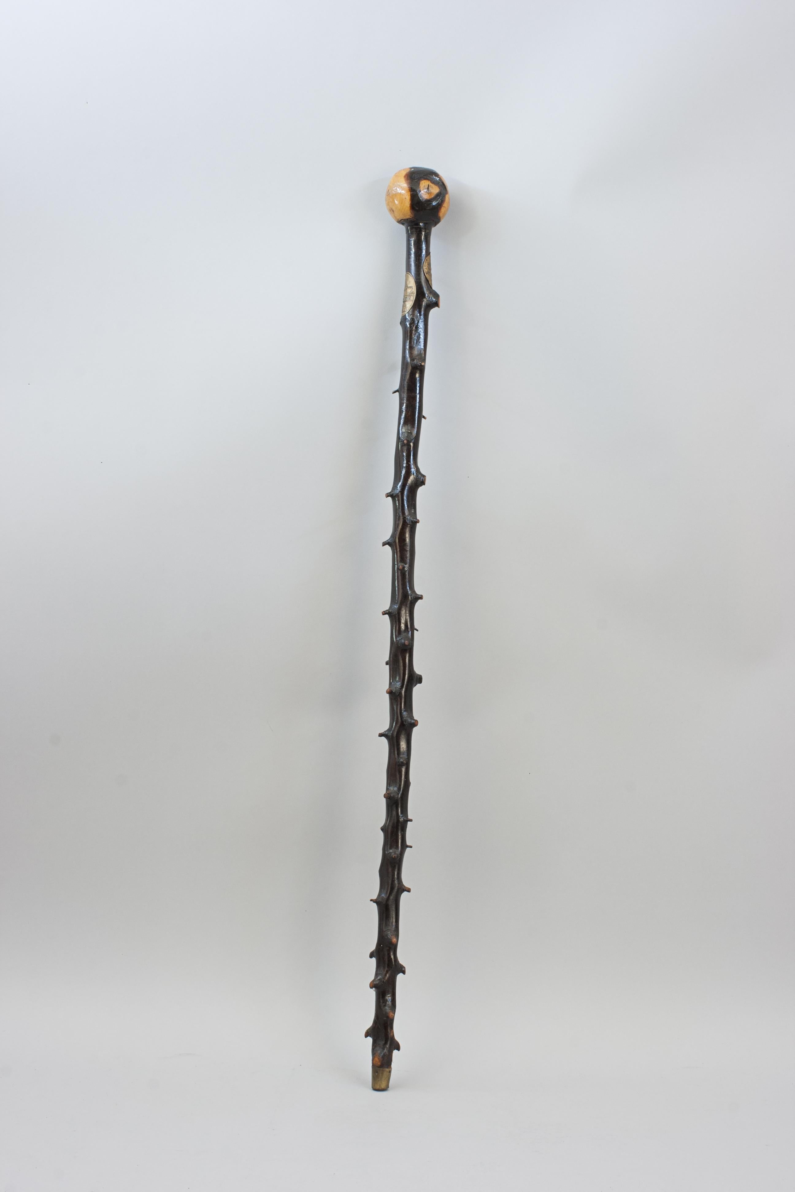 Unusual Walking Stick With RNLI Lifeboat Plaques 5