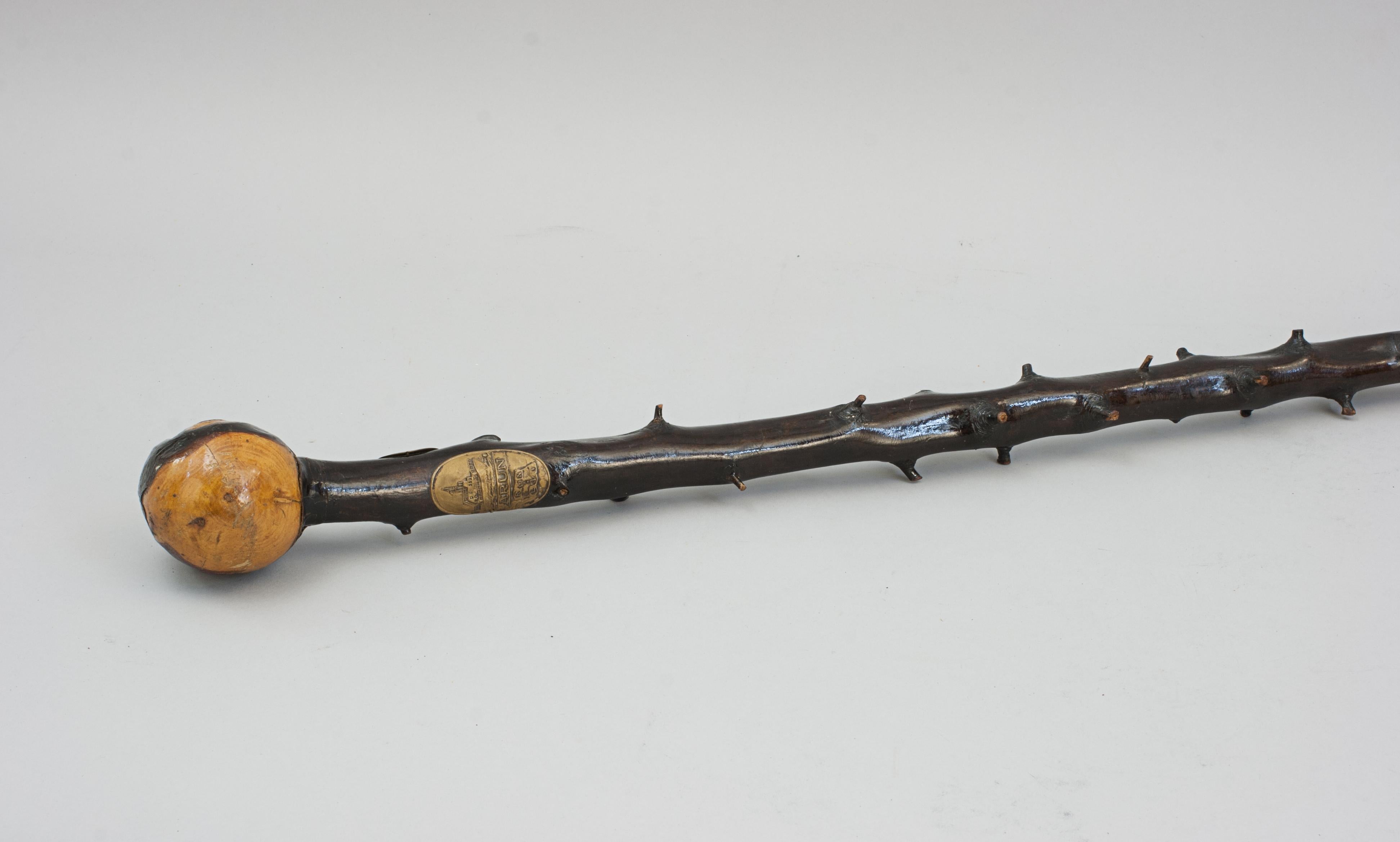 Blackthorn Walking Stick.
A very nice, unusual blackthorn walking stick with large root-knob ball handle, brass ferrule and two RNLI (Royal National Lifeboat Institution) brass plaques. The plaques with the RNLI flag logo and different images of