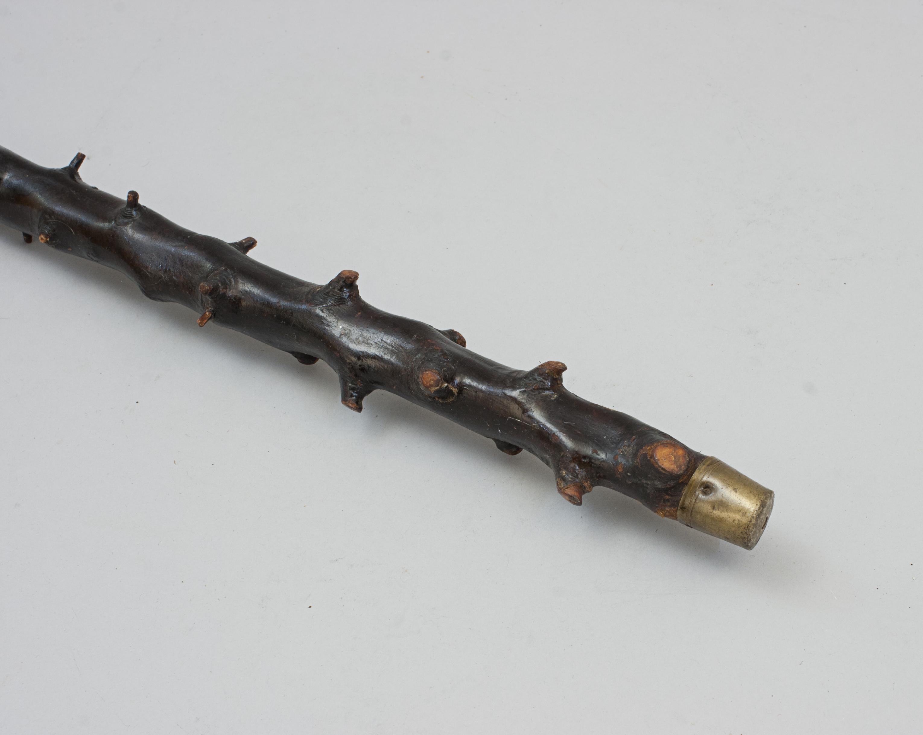 Unusual Walking Stick With RNLI Lifeboat Plaques In Good Condition In Oxfordshire, GB