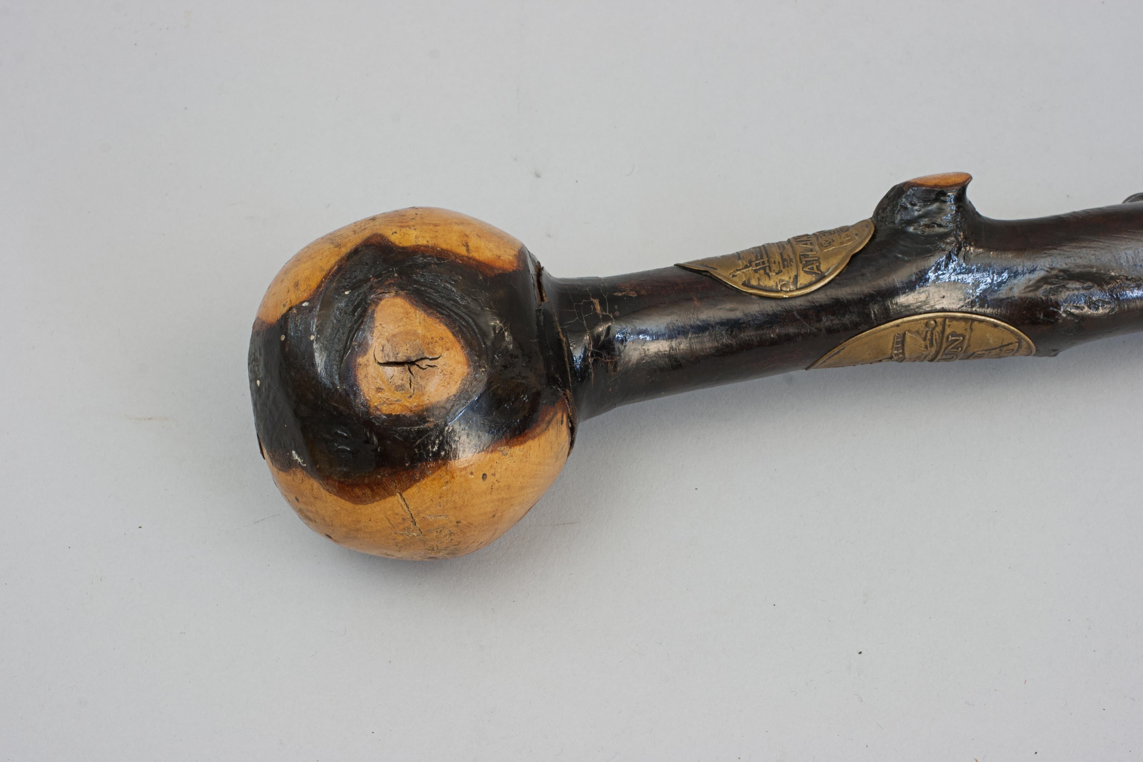 Unusual Walking Stick With RNLI Lifeboat Plaques 1