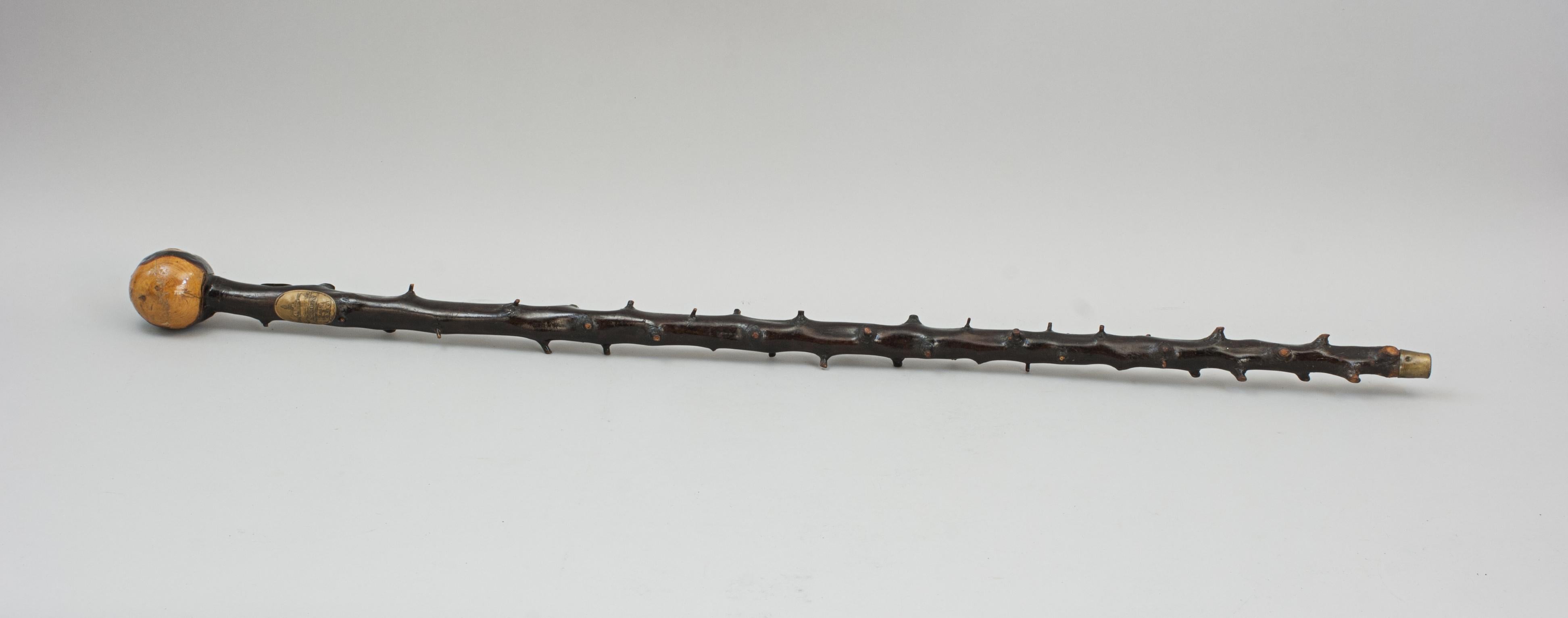 Unusual Walking Stick With RNLI Lifeboat Plaques 2