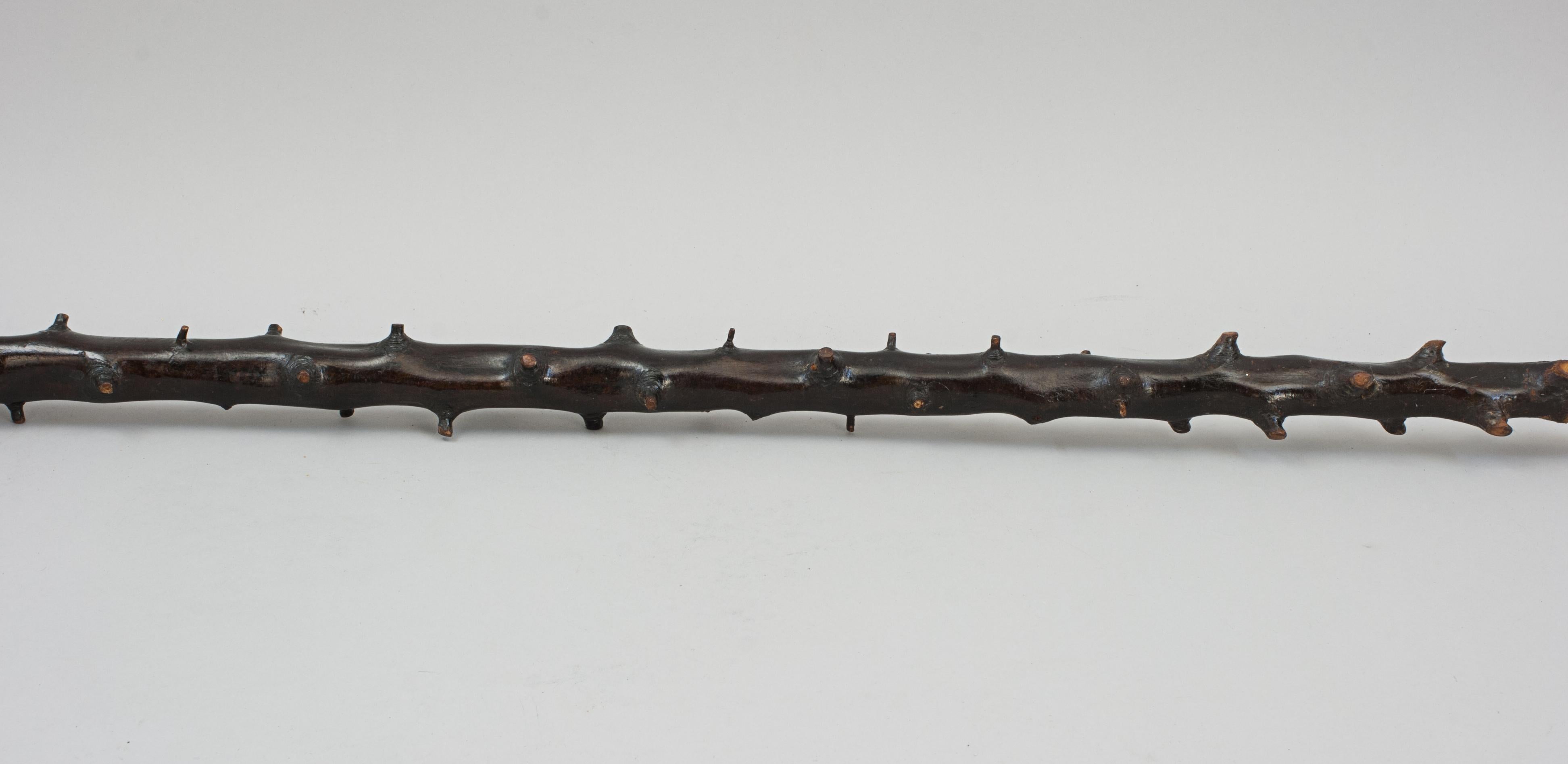 Unusual Walking Stick With RNLI Lifeboat Plaques 3