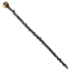 Vintage Unusual Walking Stick With RNLI Lifeboat Plaques