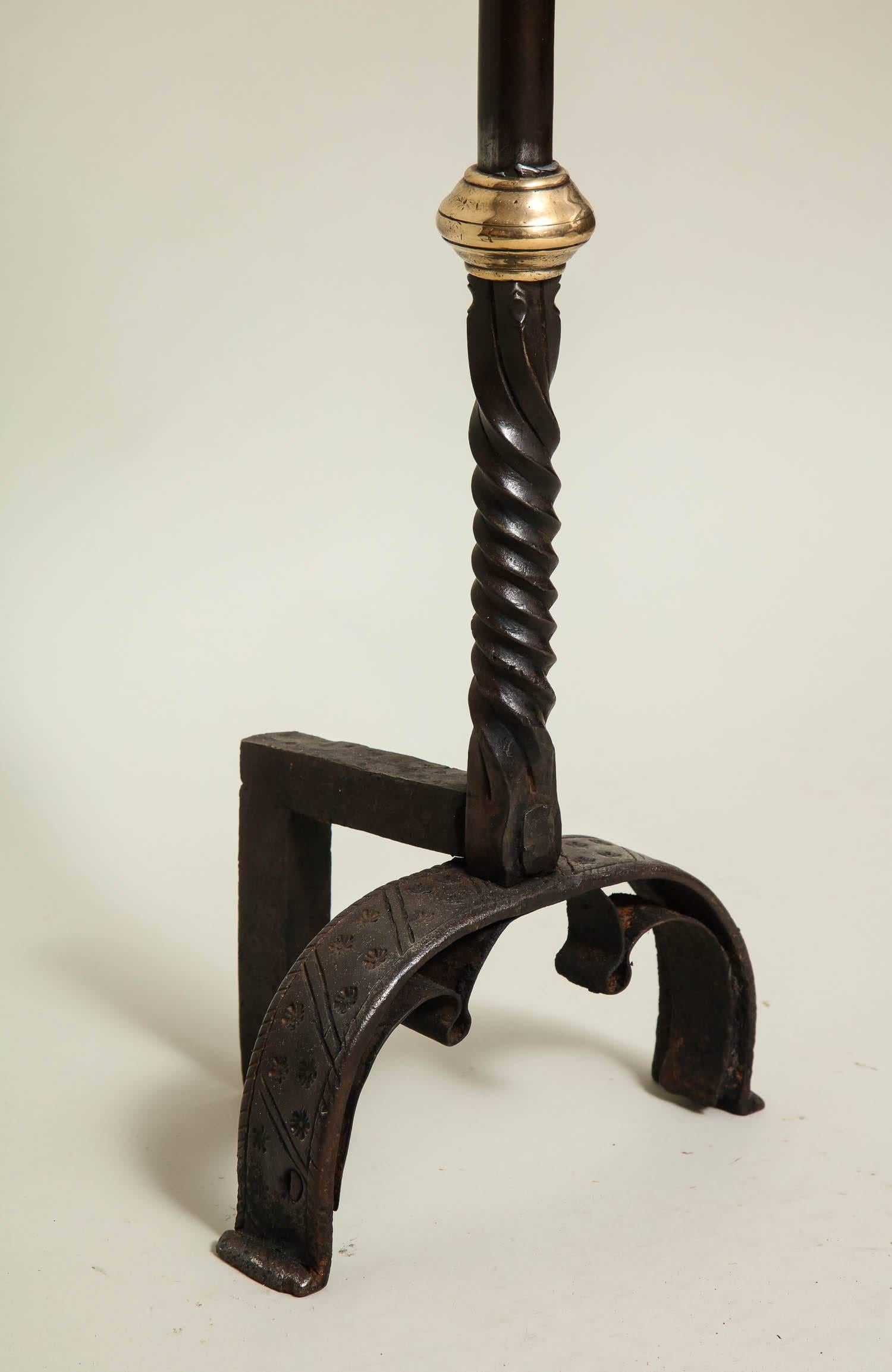 Unusually Shallow Baroque Bronze and Wrought Iron Andirons 3