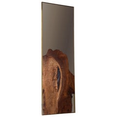 Miroir de courtoisie