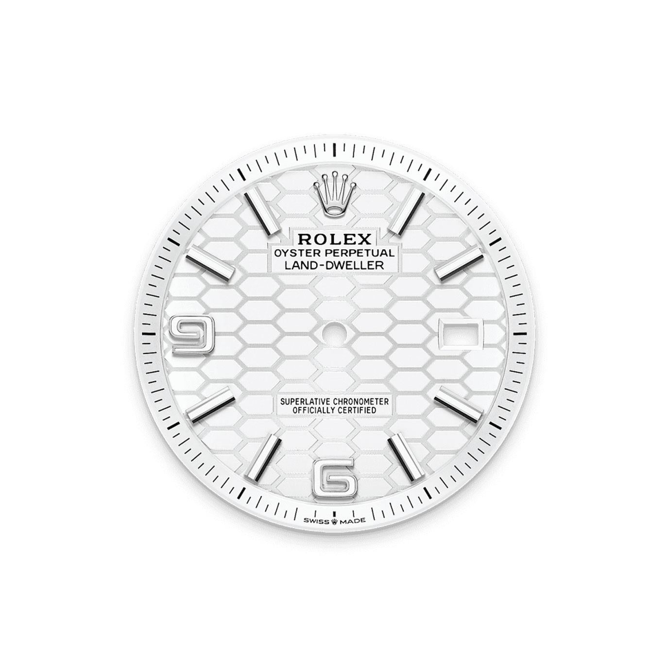 Voici la Rolex Oyster Perpetual Lande 36, Ref. 127234-0001 - un ajout révolutionnaire à la collection 2025 de Rolex, dévoilé à Watches & Wonders. Conçu pour ceux qui recherchent la précision, l'innovation et la sophistication, ce garde-temps