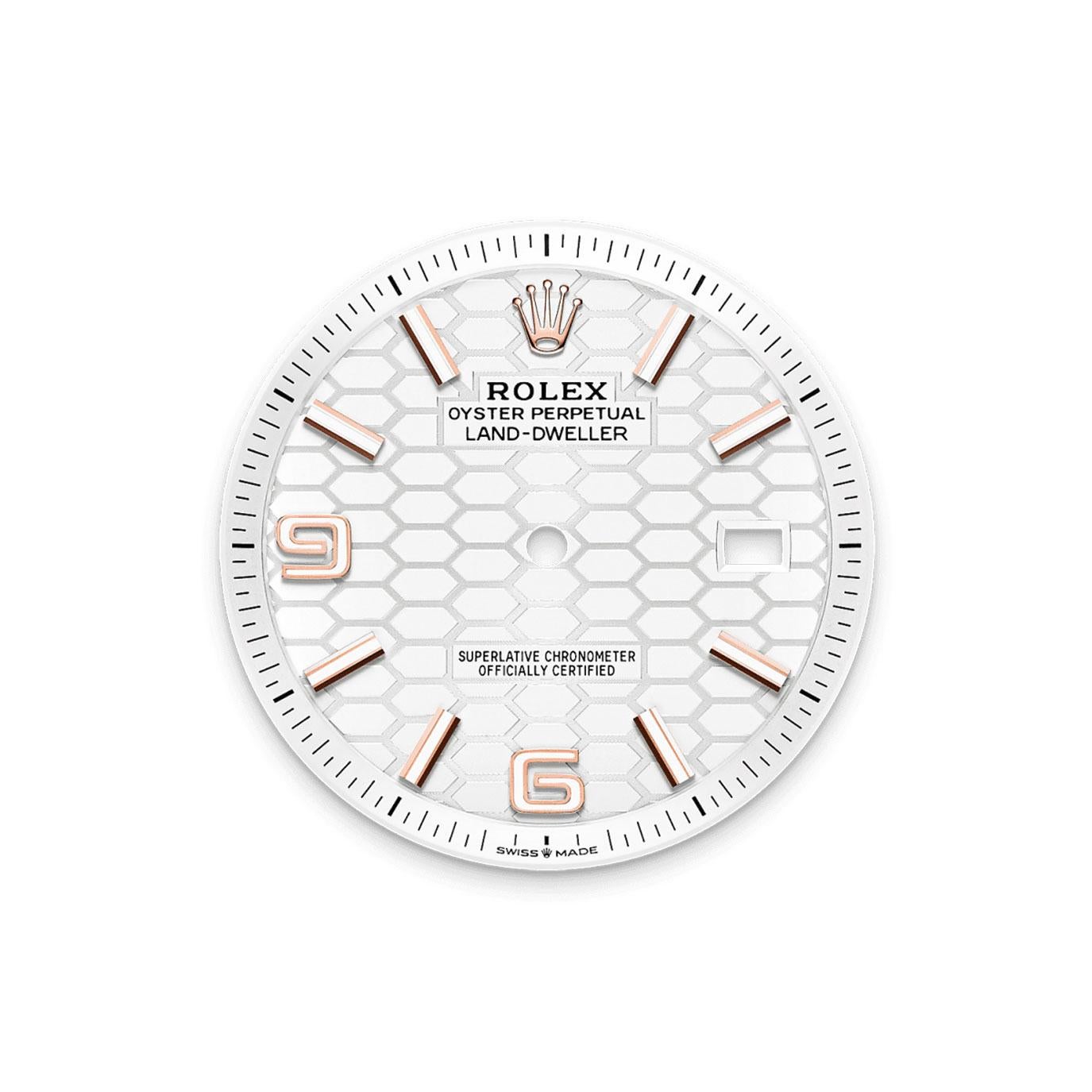 Rolex Land-Dweller 40 sin usar Referencia# 127335, Juego completo, 2025 en Nuevo estado para la venta en New York, NY