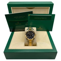 Rolex Sky-Dweller 336933 42mm Acciaio 18K Oro Giallo Quadrante Nero Orologio non indossato B & A.
