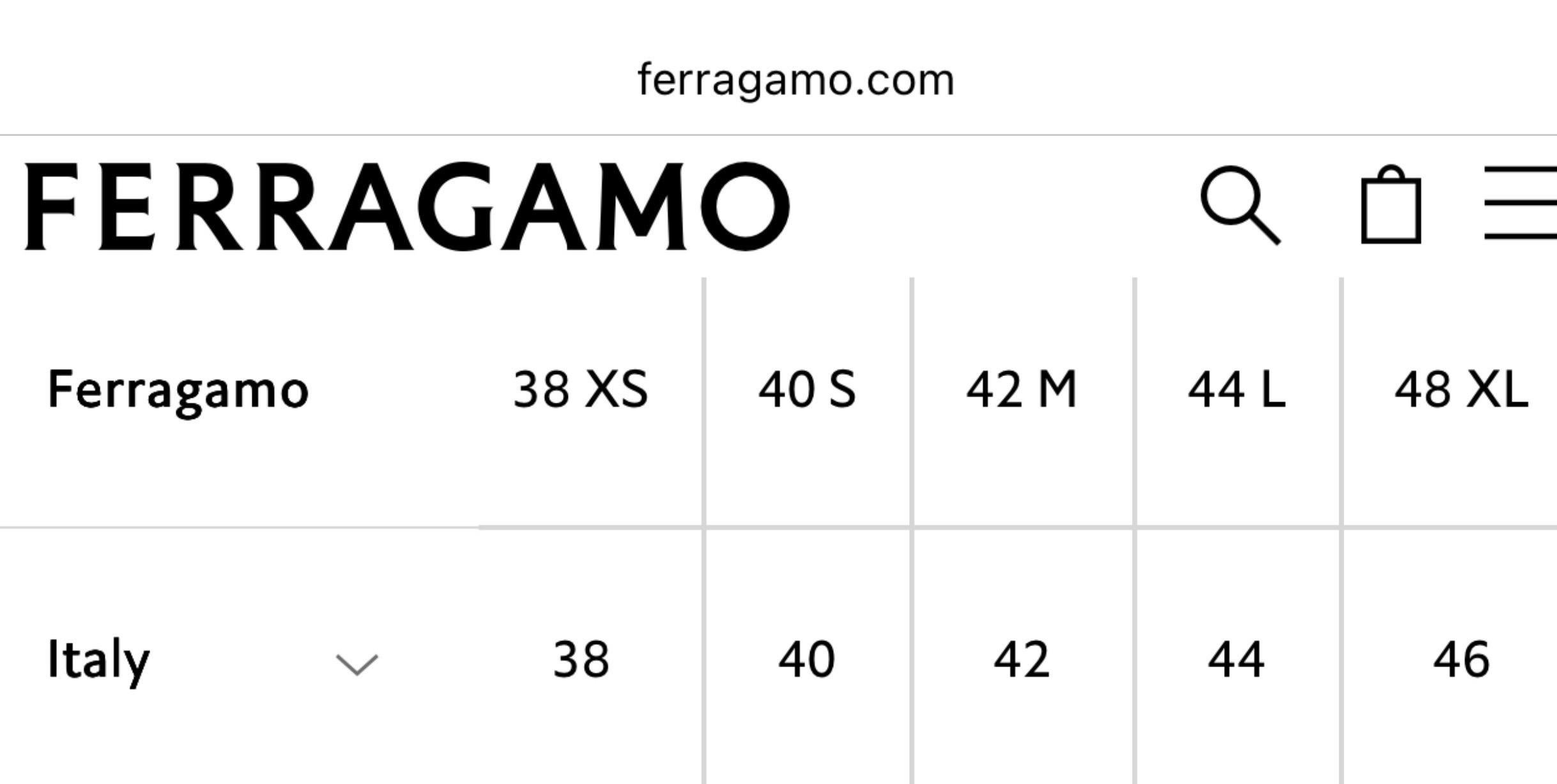 Blusa de seda sin estrenar Salvatore Ferragamo Blusa 44 en venta 1