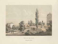 Uppsala Från Gröna Kullen Ansicht, Schwedische getönte Lithographie von A. Nay, 1877