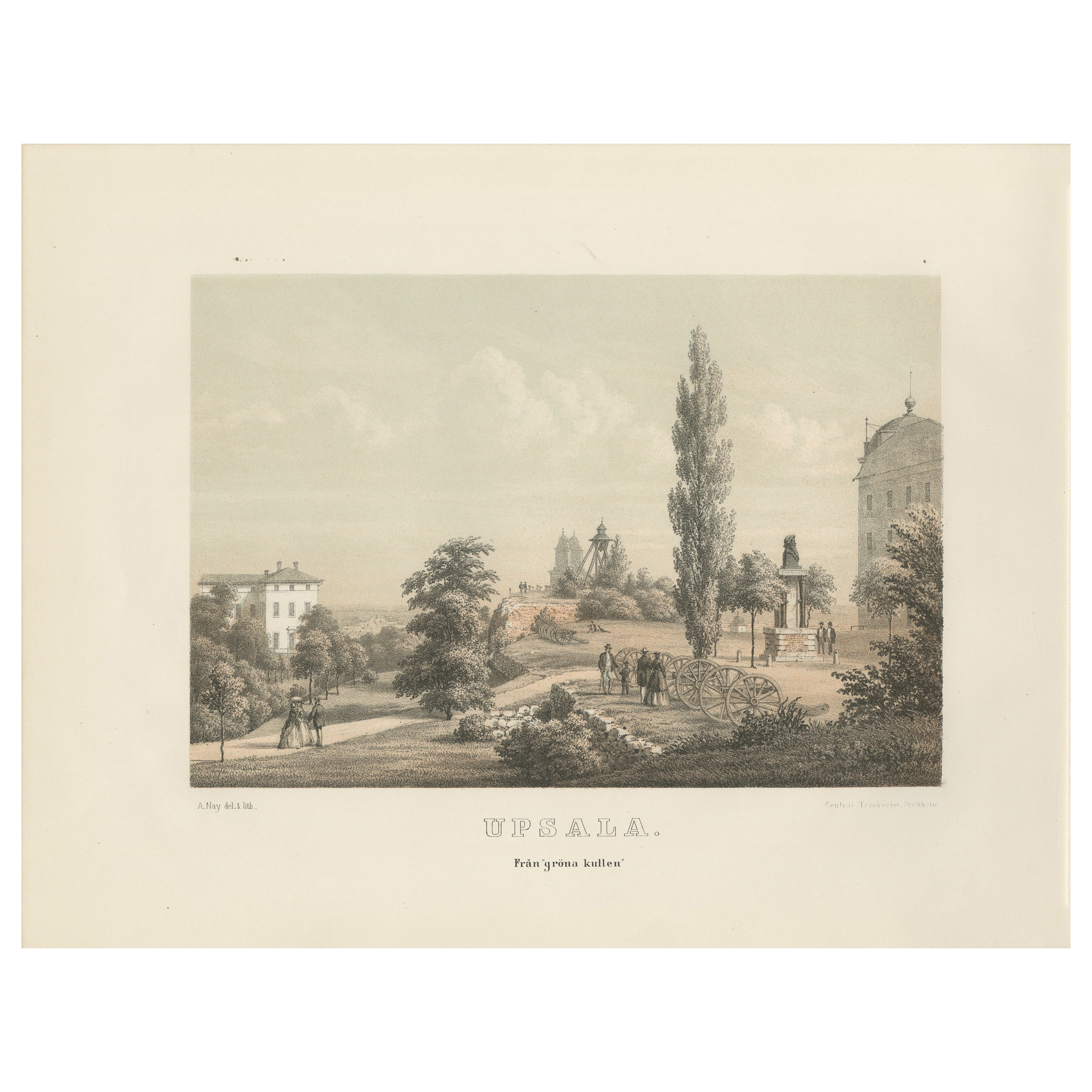 Uppsala Från Gröna Kullen View, Swedish Tinted Lithograph by A. Nay, 1877