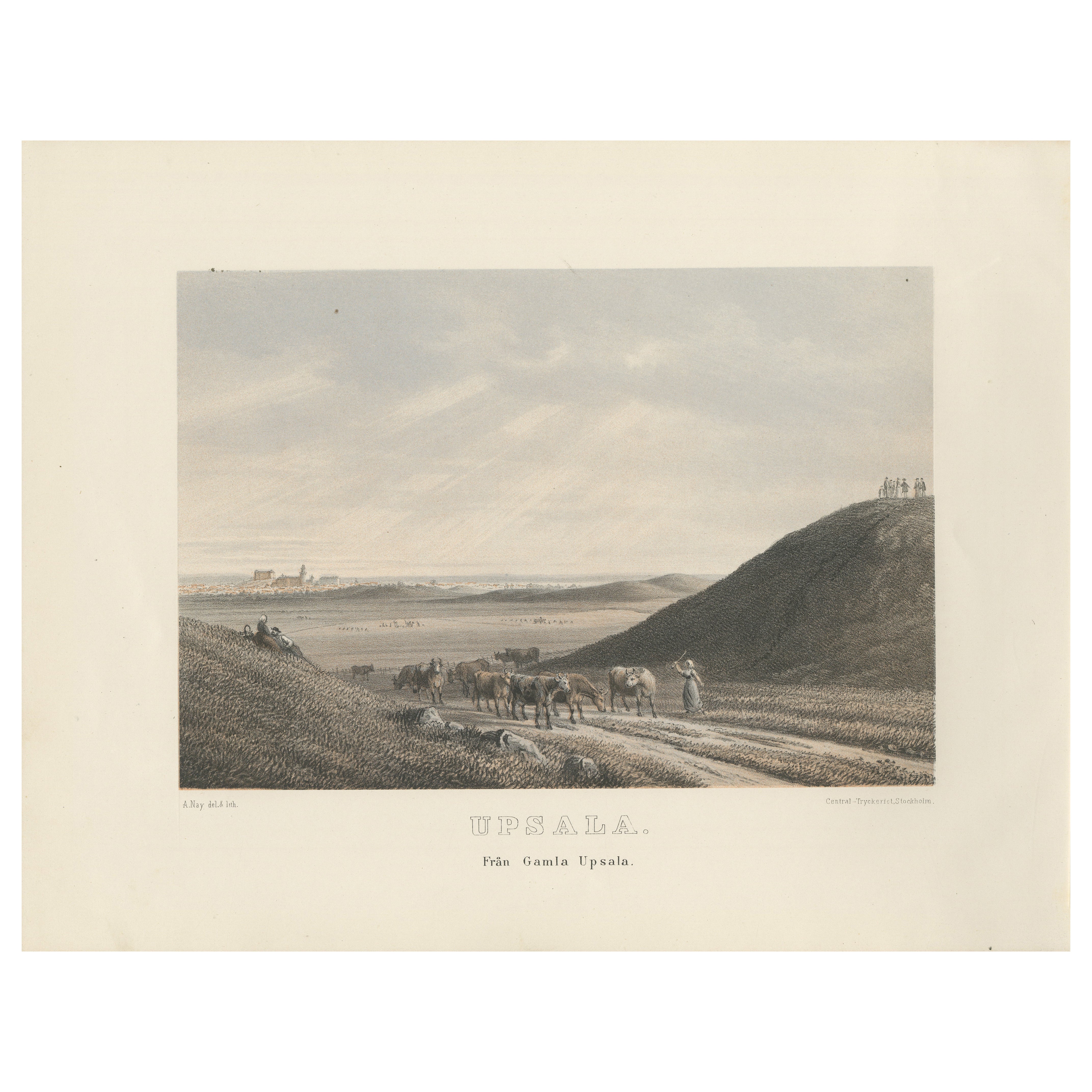 Uppsala from Gamla Uppsala, Swedish Landscape View Lithograph by A. Nay, 1877
