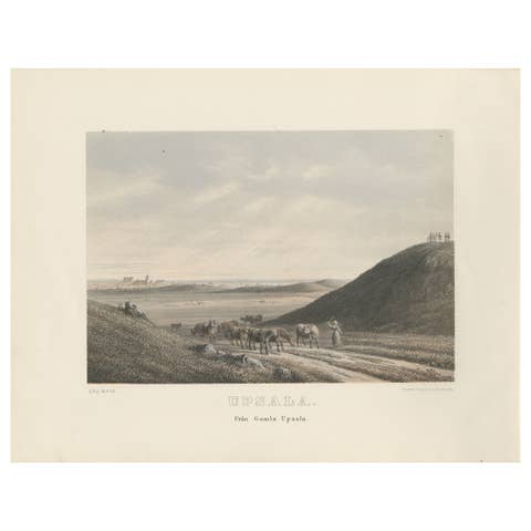 Uppsala from Gamla Uppsala, Swedish Landscape View Lithograph by A. Nay, 1877