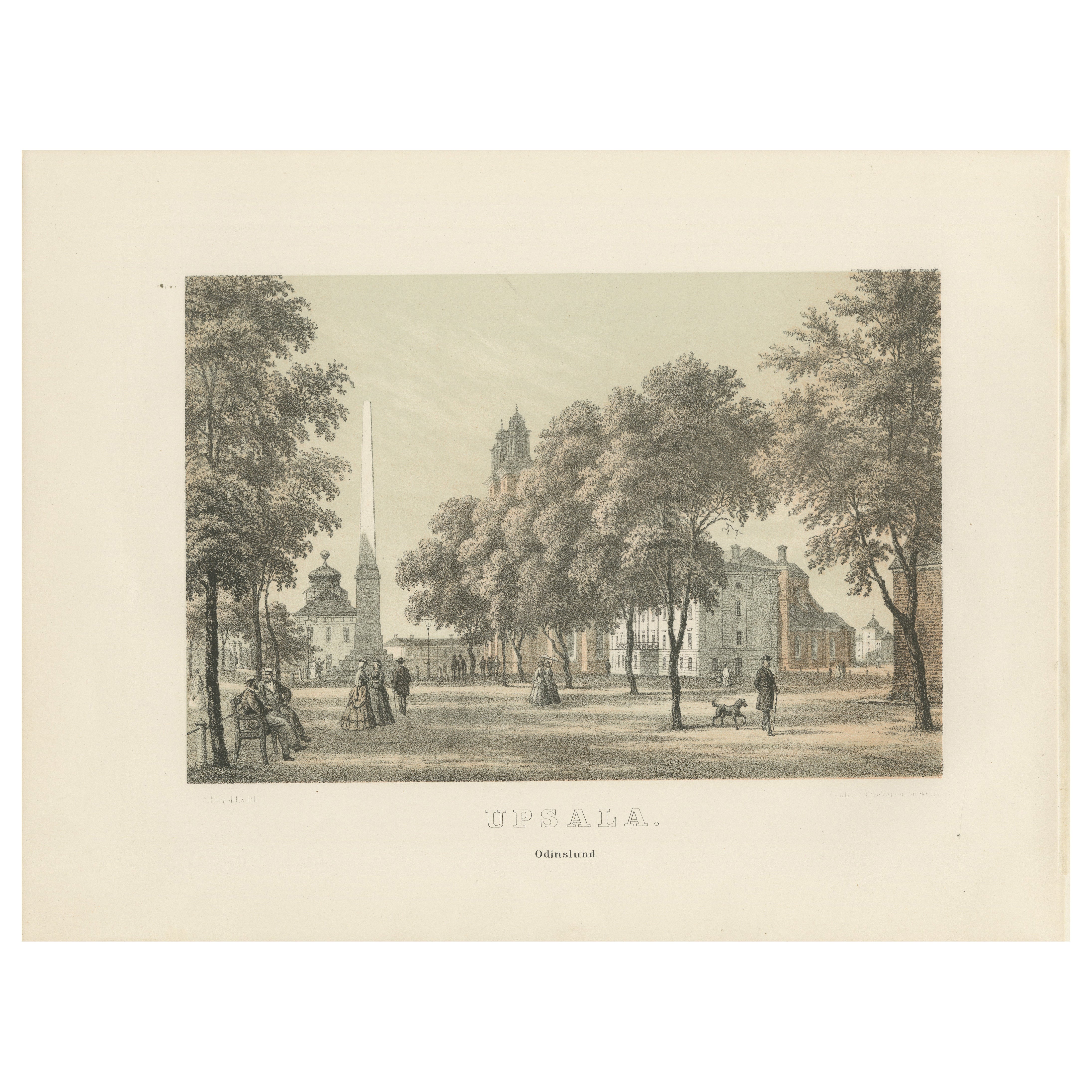 Uppsala Odinslund Park View, Swedish Tinted Lithograph by A. Nay, 1877