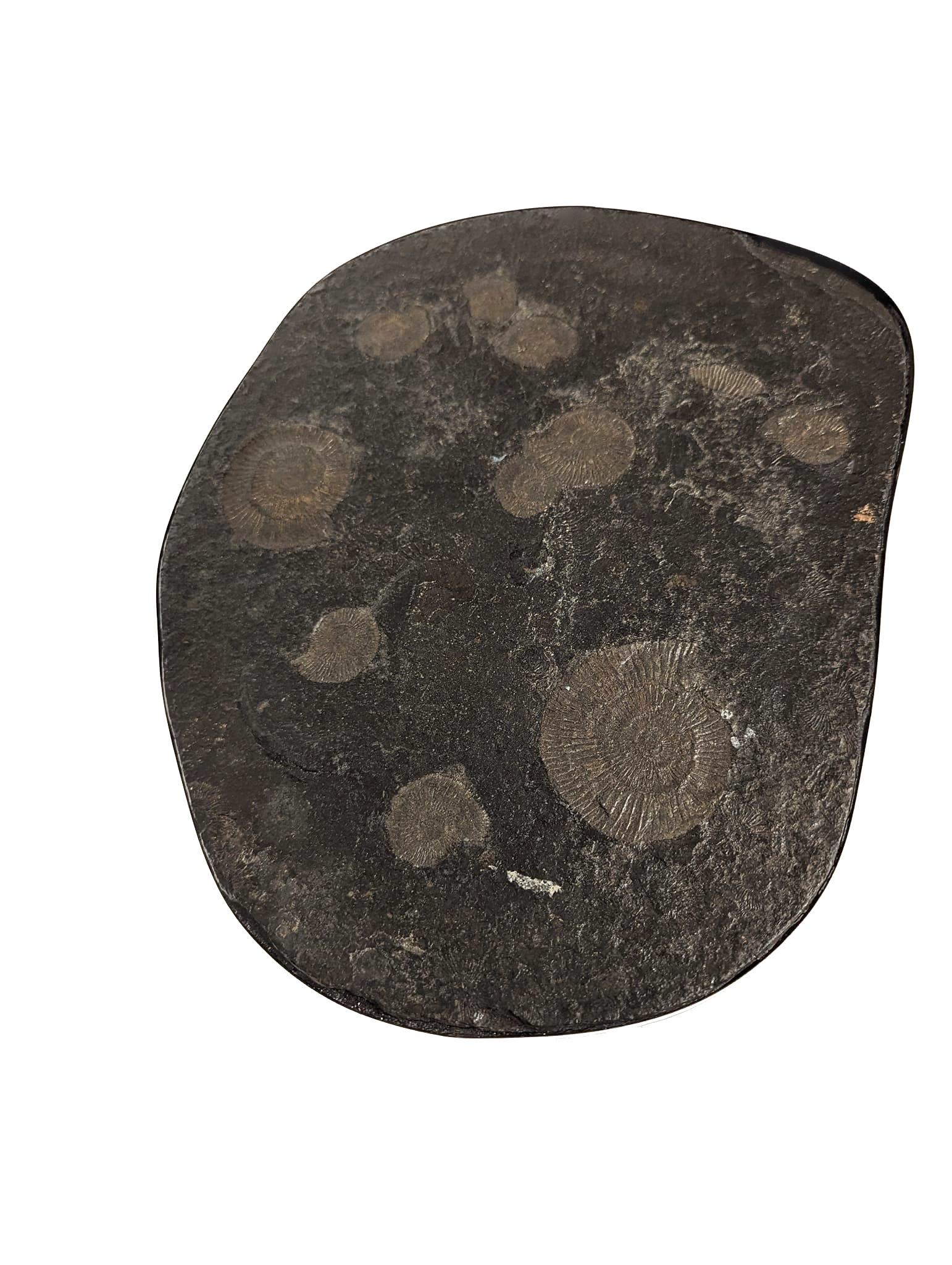 Américain Table d'appoint Urban Art en fer forgé et marbre fossilisé en vente