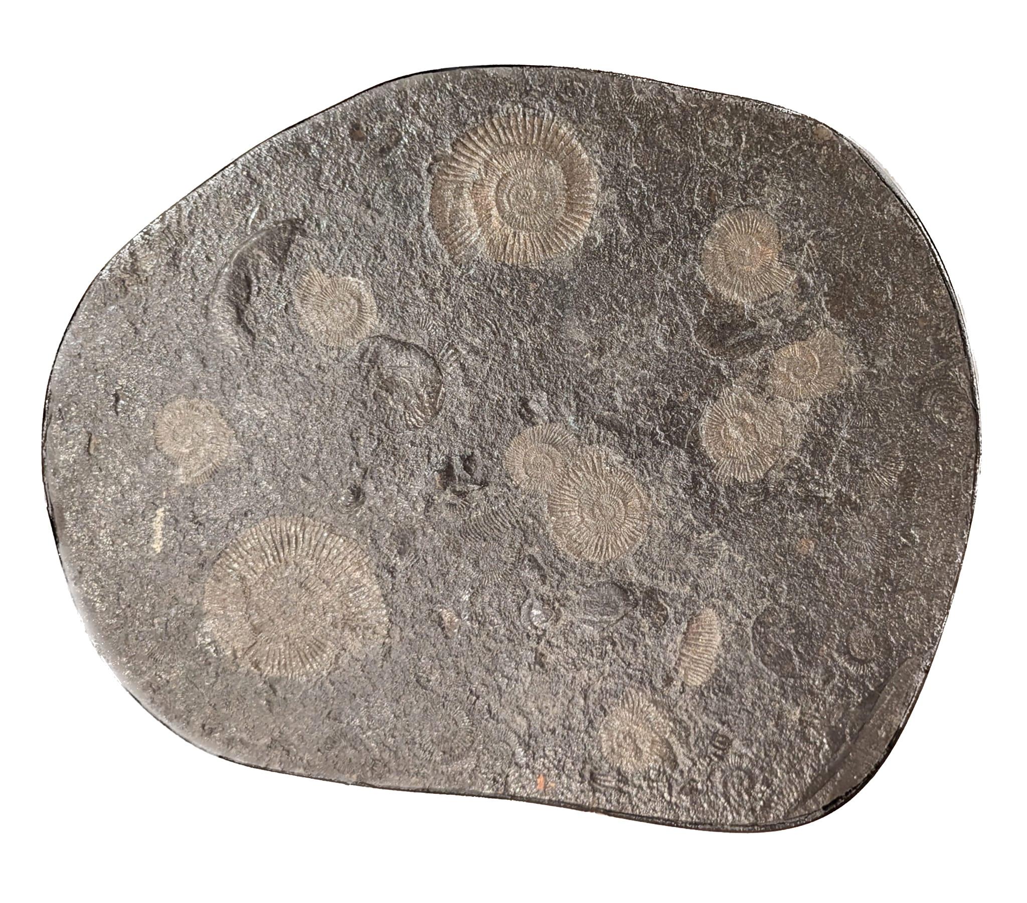 Laiton Table d'appoint Urban Art en fer forgé et marbre fossilisé en vente