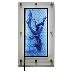 Art urbain industriel Photo transparente, Lucite, Lights "Tree" (arbre)