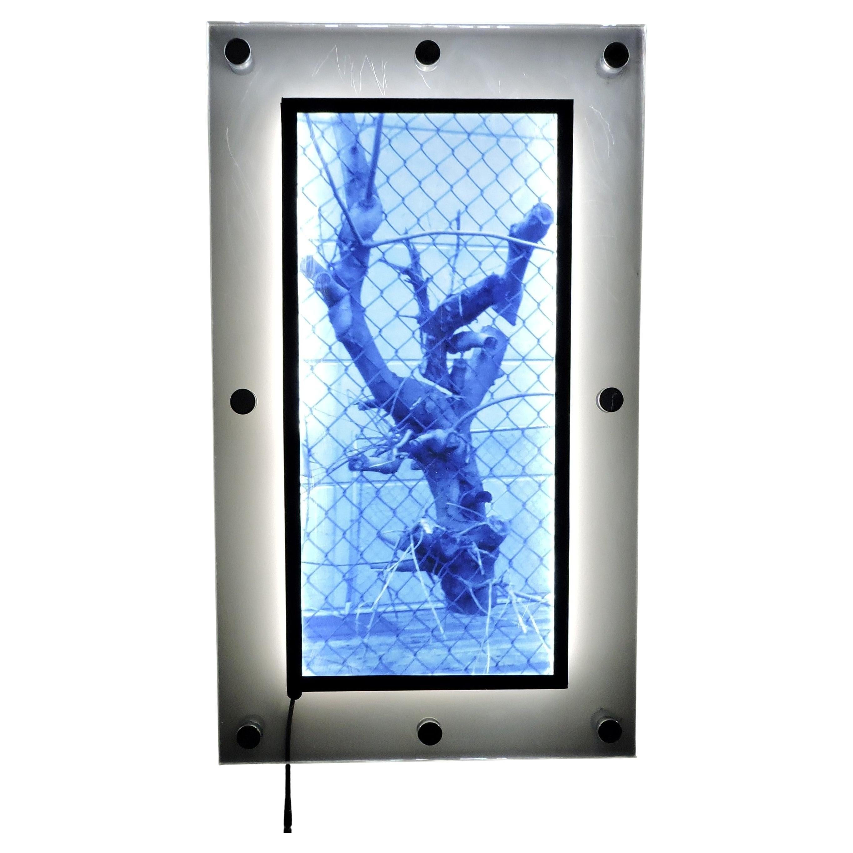 Urban Industrial Art Photo Transparency, Lucite, LED Lights "Tree"