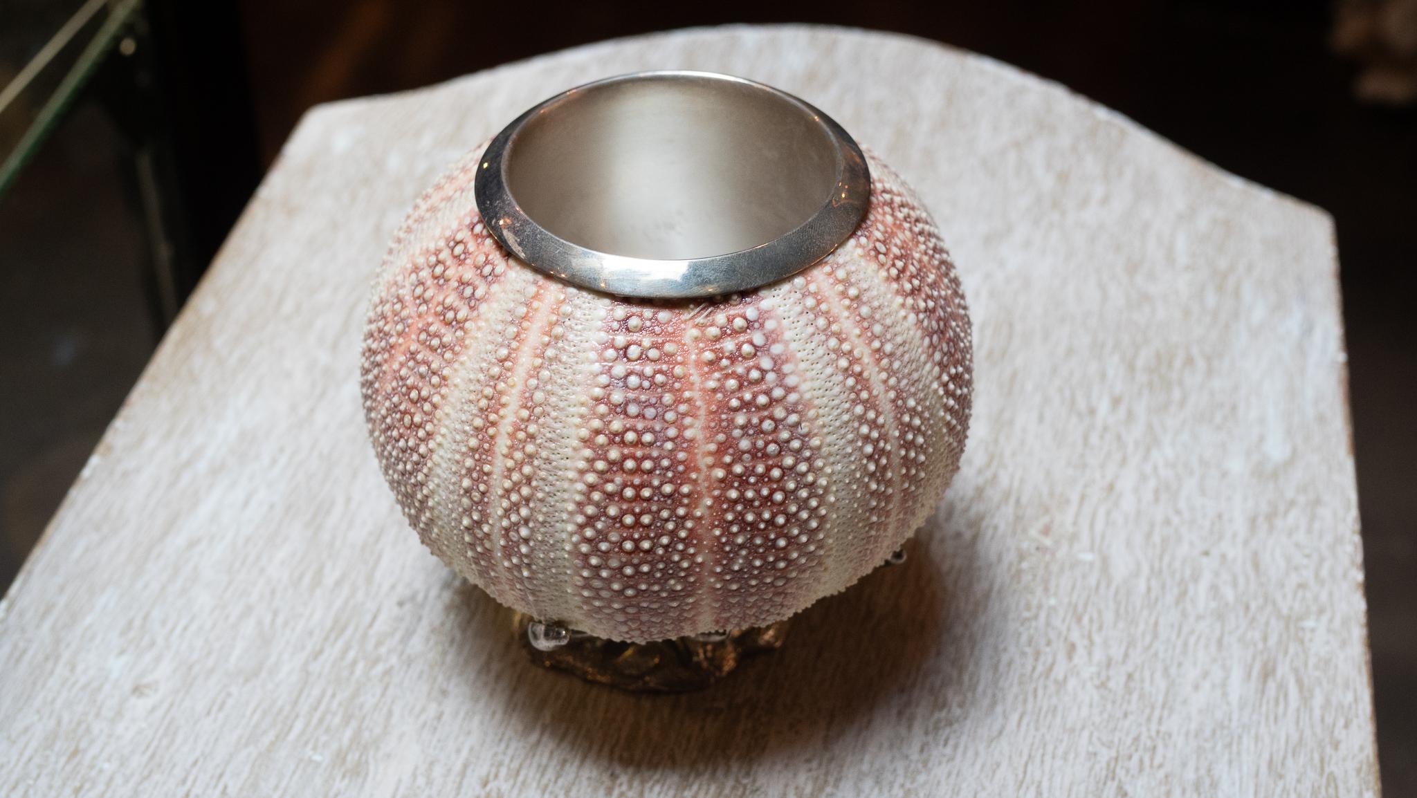 Sea Urchin Penholder with Silvered Base and Sterling Silver Interior In Good Condition In New York, NY