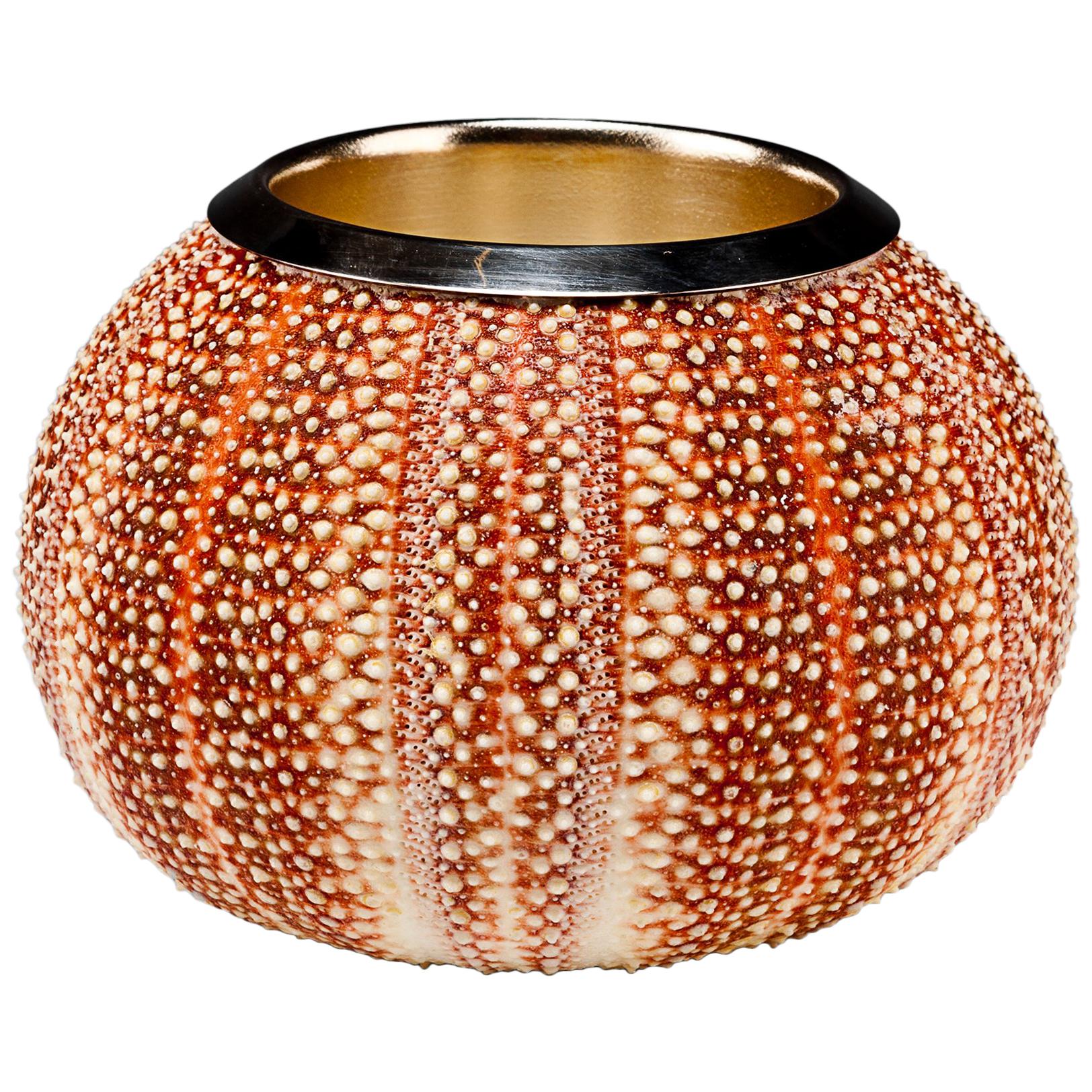 Sea Urchin Penholder with Sterling Silver Interior