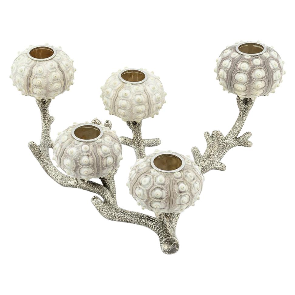 Urchins Candleholder Silver Plated