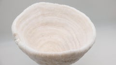 Urn Coral Mounted