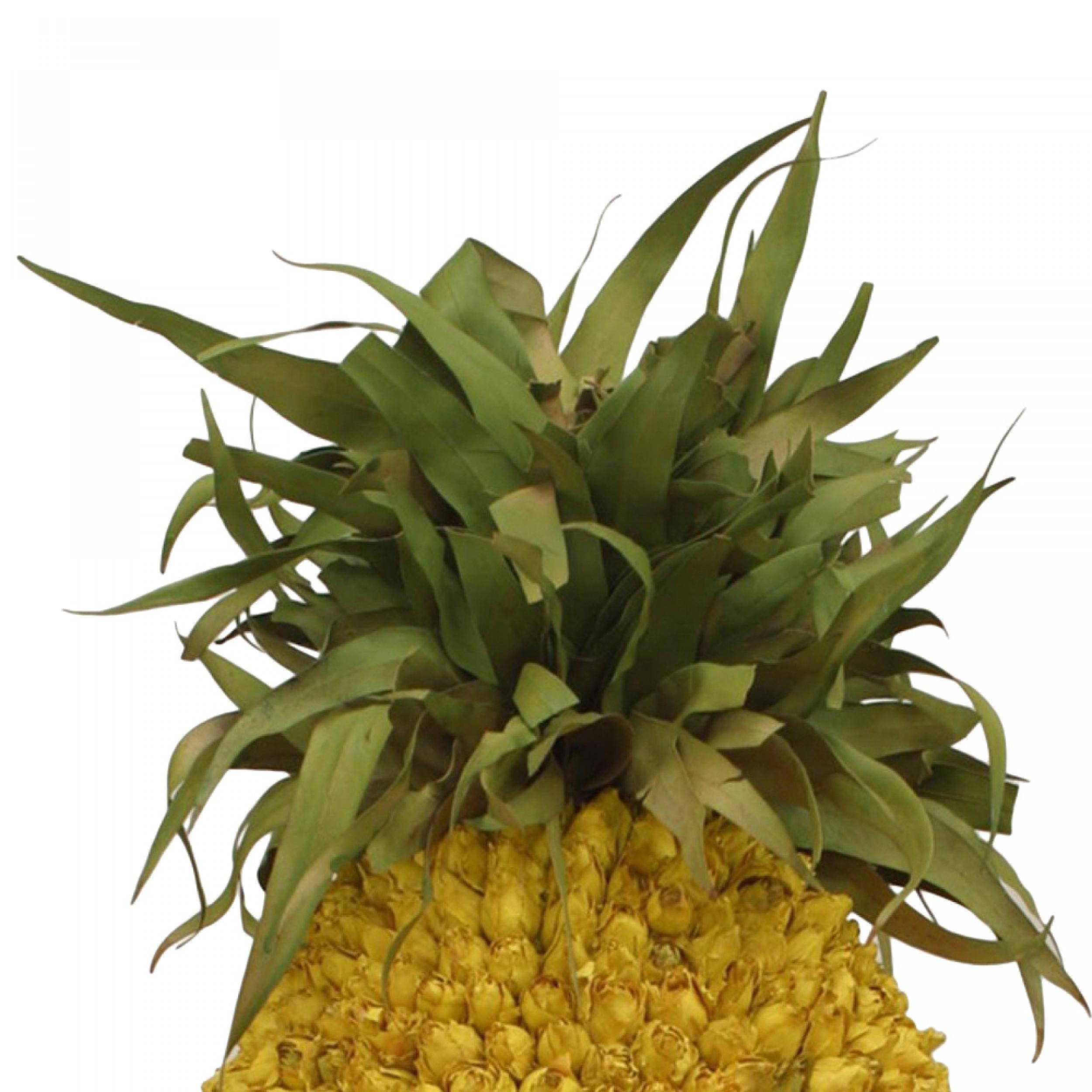 Piccola urna da esterno in ferro con fiori secchi in vaso a forma di ananas giallo