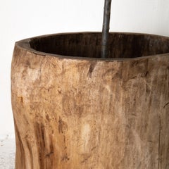 Urn Wood Large Swedish 19th Century Sweden