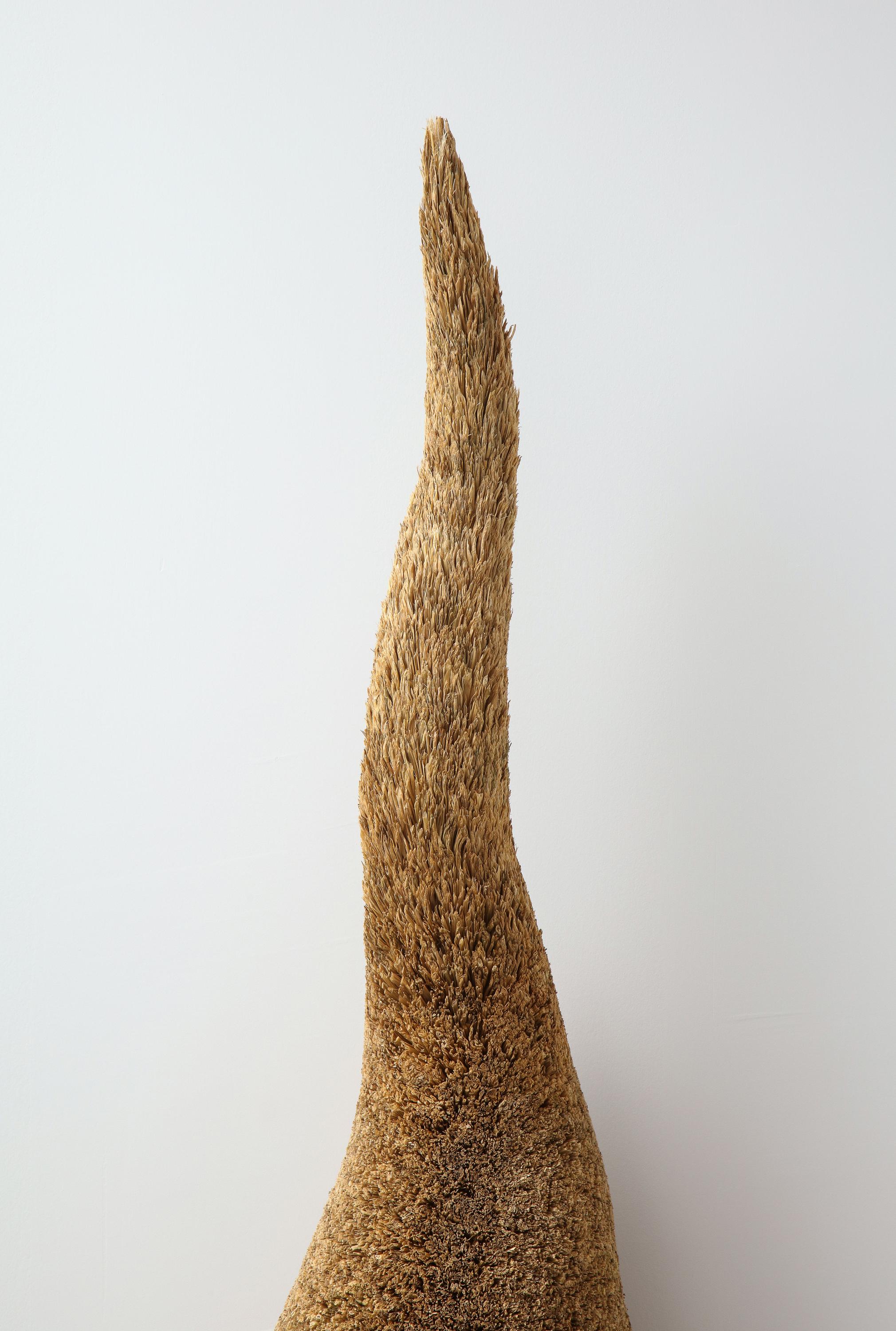 Uro #2 (Fox Tail), 2020
Rice stalks, epoxy resin, cotton cloth, and cashew lacquer.
Measurements: 47 x 15 x 18.5 in.
 