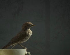 ''A Cup of Tea'' Dutch Contemporary Still Life of a Sparrow on a Tea Cup