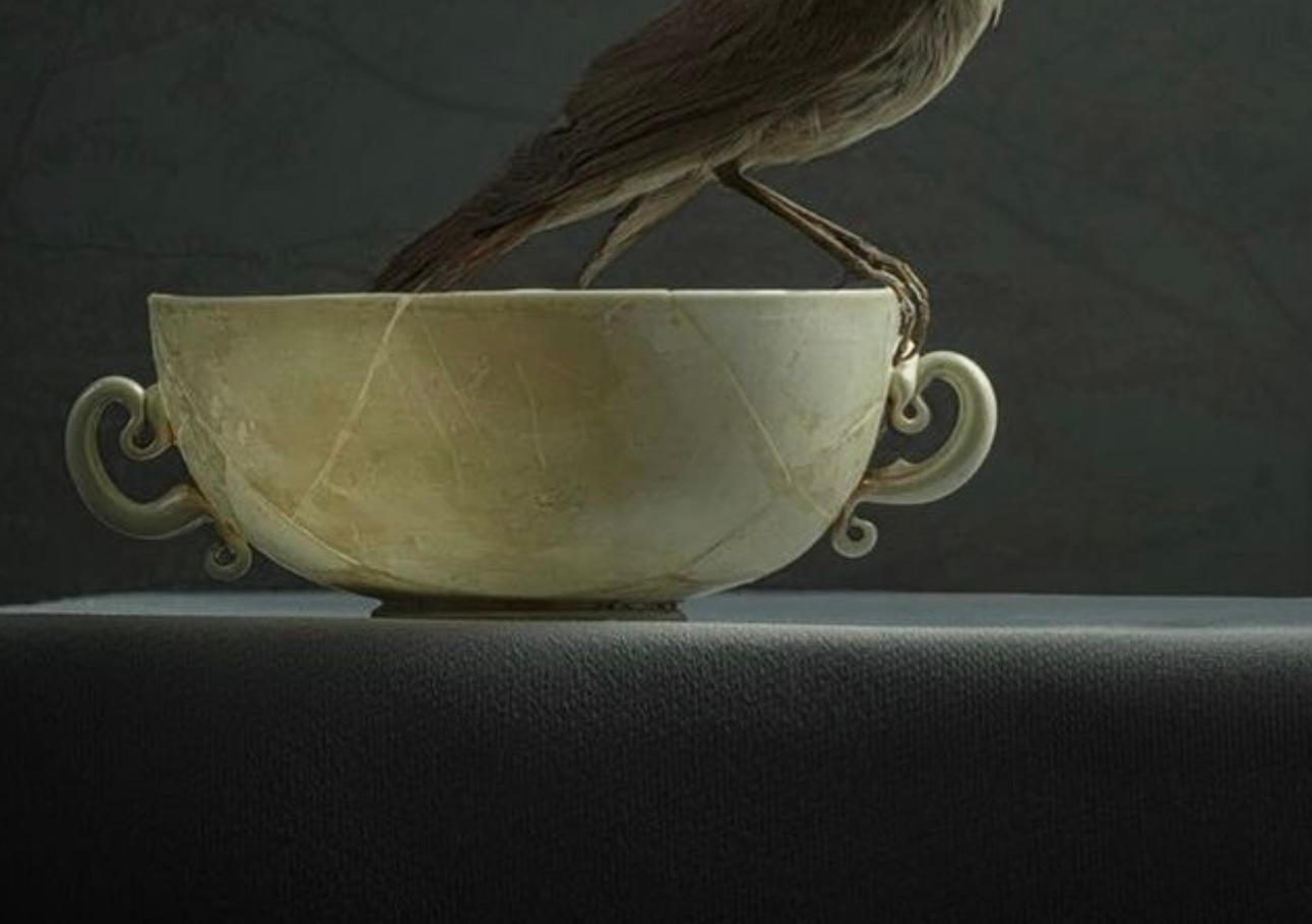 ''A Cup of Tea'' Dutch Contemporary Still Life of a Sparrow on a Tea Cup - Black Figurative Photograph by Ursula van de Bunte