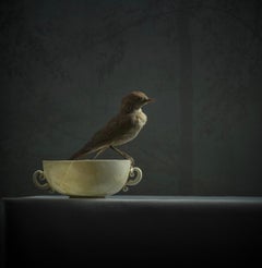 ''A Cup of Tea'' Dutch Contemporary Still Life of a Sparrow on a Tea Cup