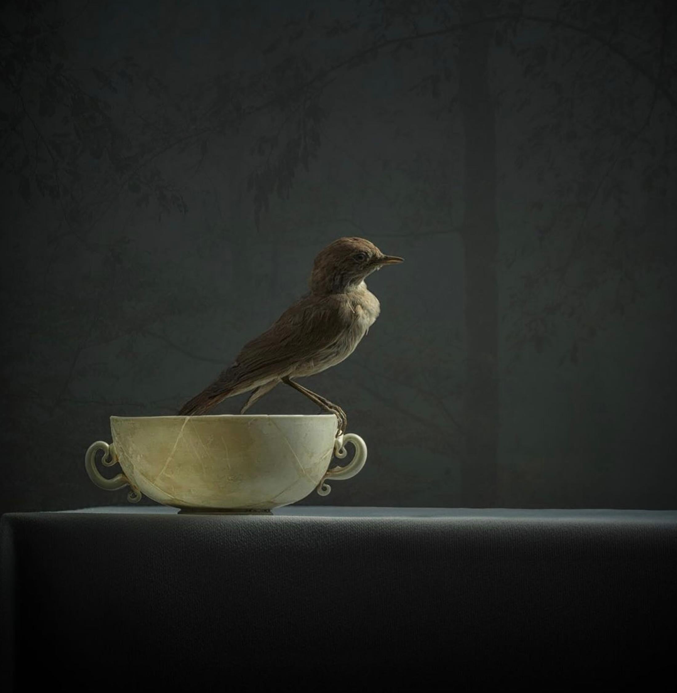 ''Une tasse de thé'' Nature morte contemporaine hollandaise d'un moineau sur une tasse de thé