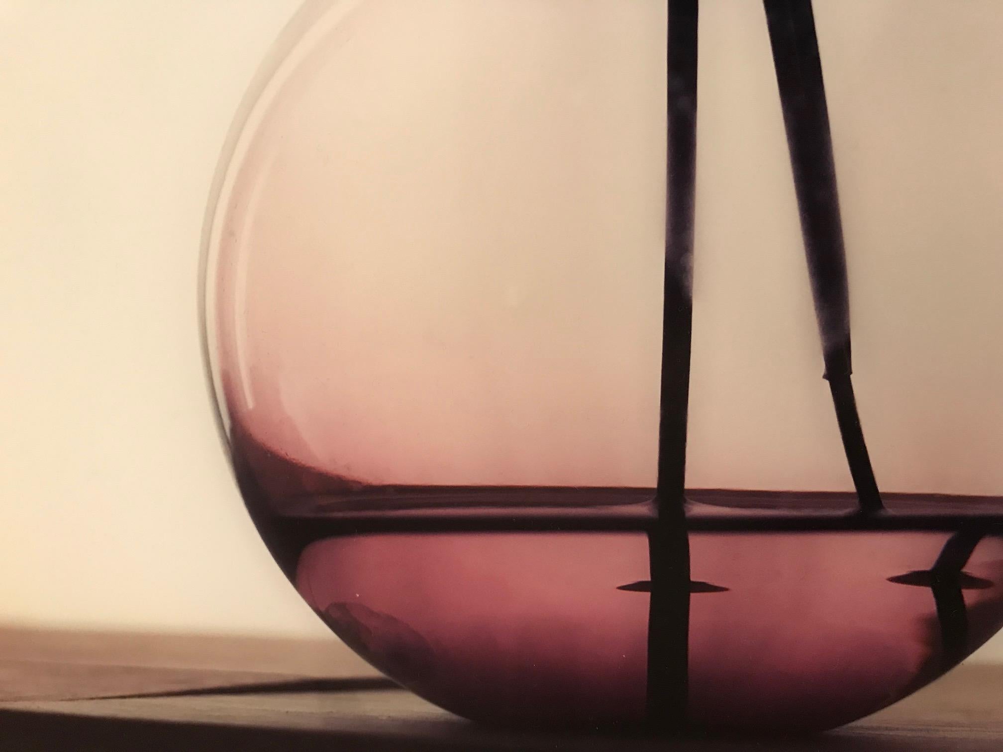 „Chocolatblume“ holländisches zeitgenössisches Stillleben mit Schokoladeblume in Vase 1