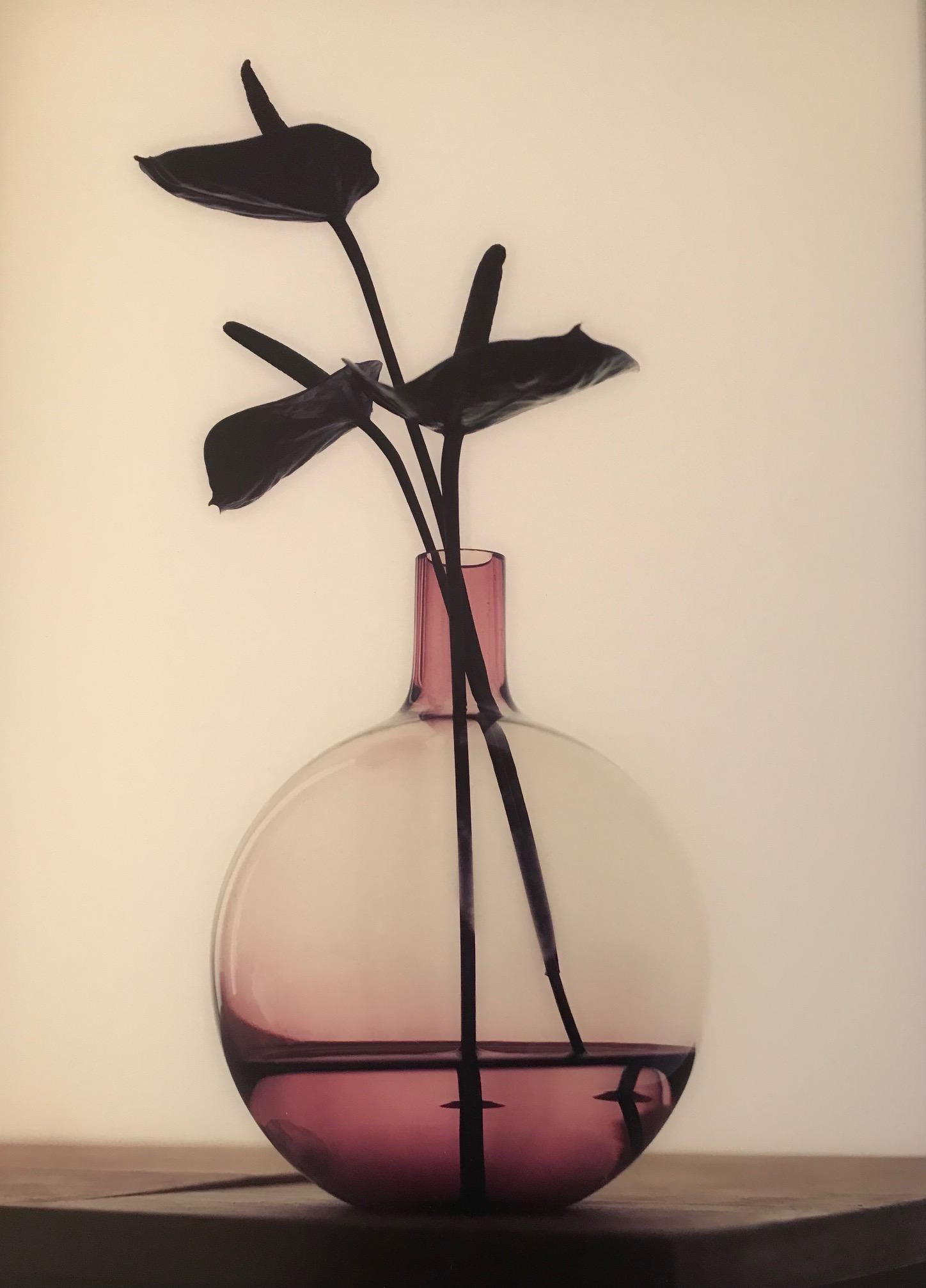 ''Chocolate Flower'' Dutch Contemporary Still-Life of Chocolate Flower in Vase