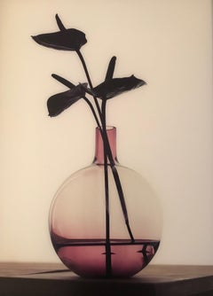 ''Chocolate Flower'' Dutch Contemporary Still-Life of Chocolate Flower in Vase