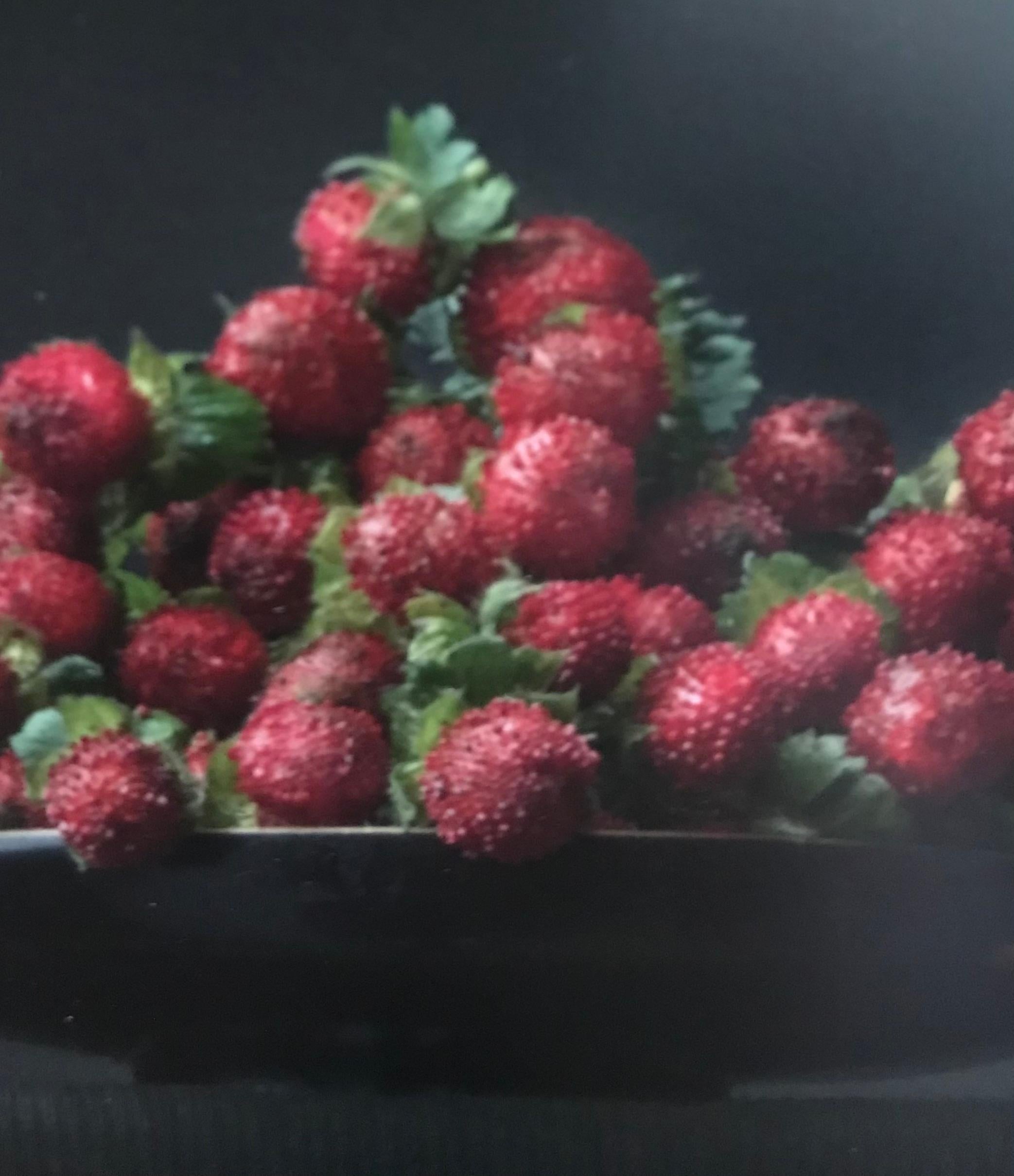 ''Strawberry's'' Dutch Contemporary Still-Life of Strawberry's in a Black Bowl (Nature morte contemporaine de fraises dans un bol noir) - Noir Still-Life Photograph par Ursula van de Bunte