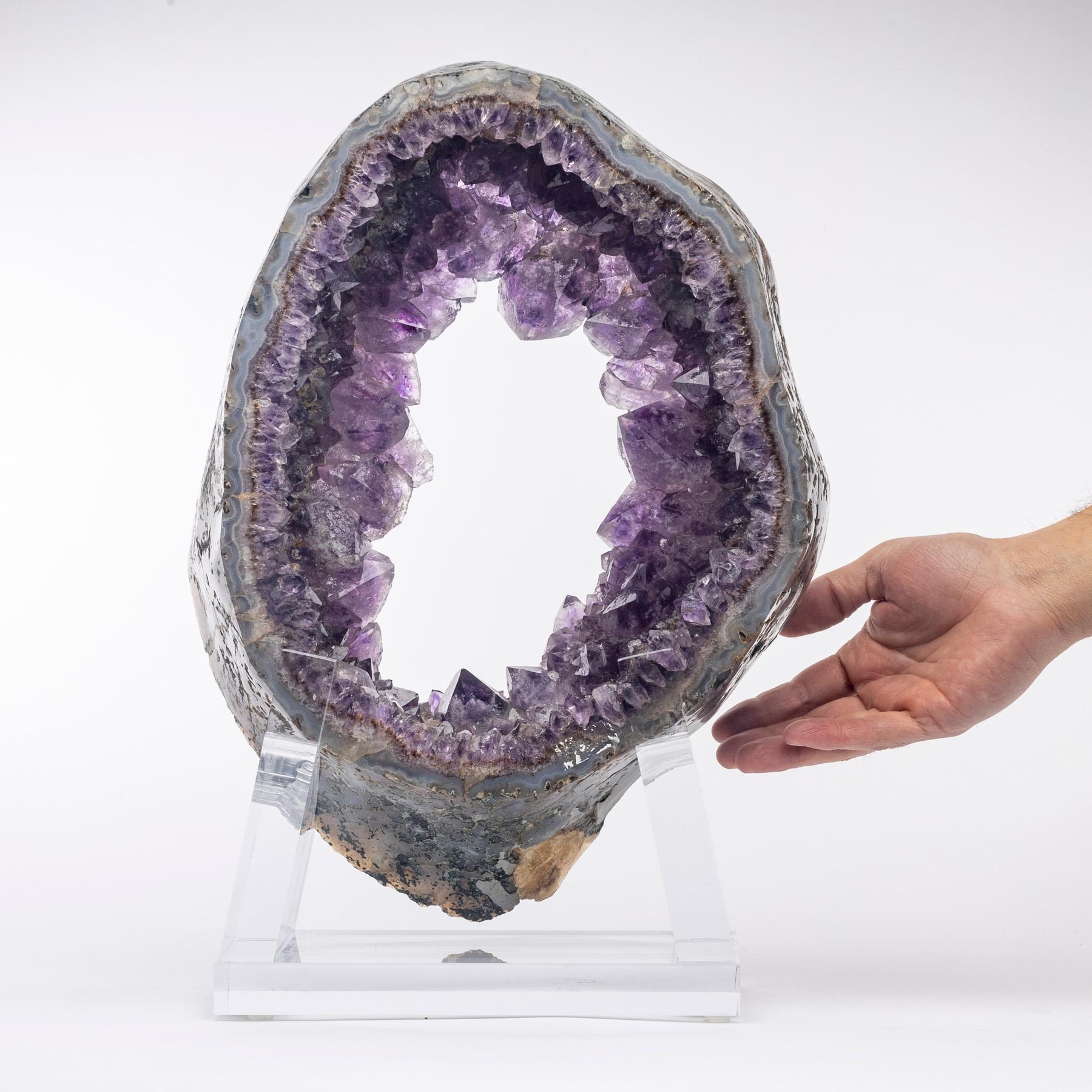 Uruguay Amethyst-Quarz-Kristall-Geode auf maßgefertigtem Acrylsockel im Angebot 3